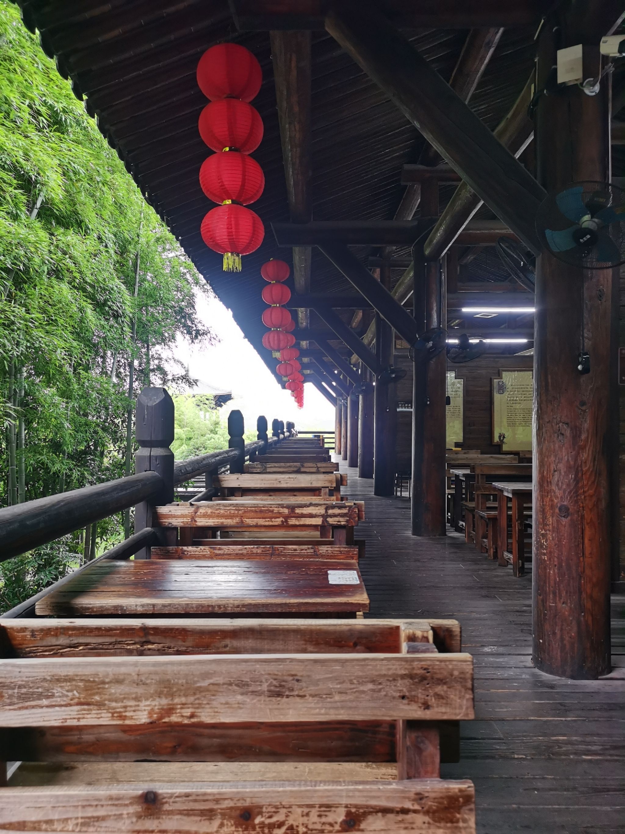 大唐贡茶院旅行图片