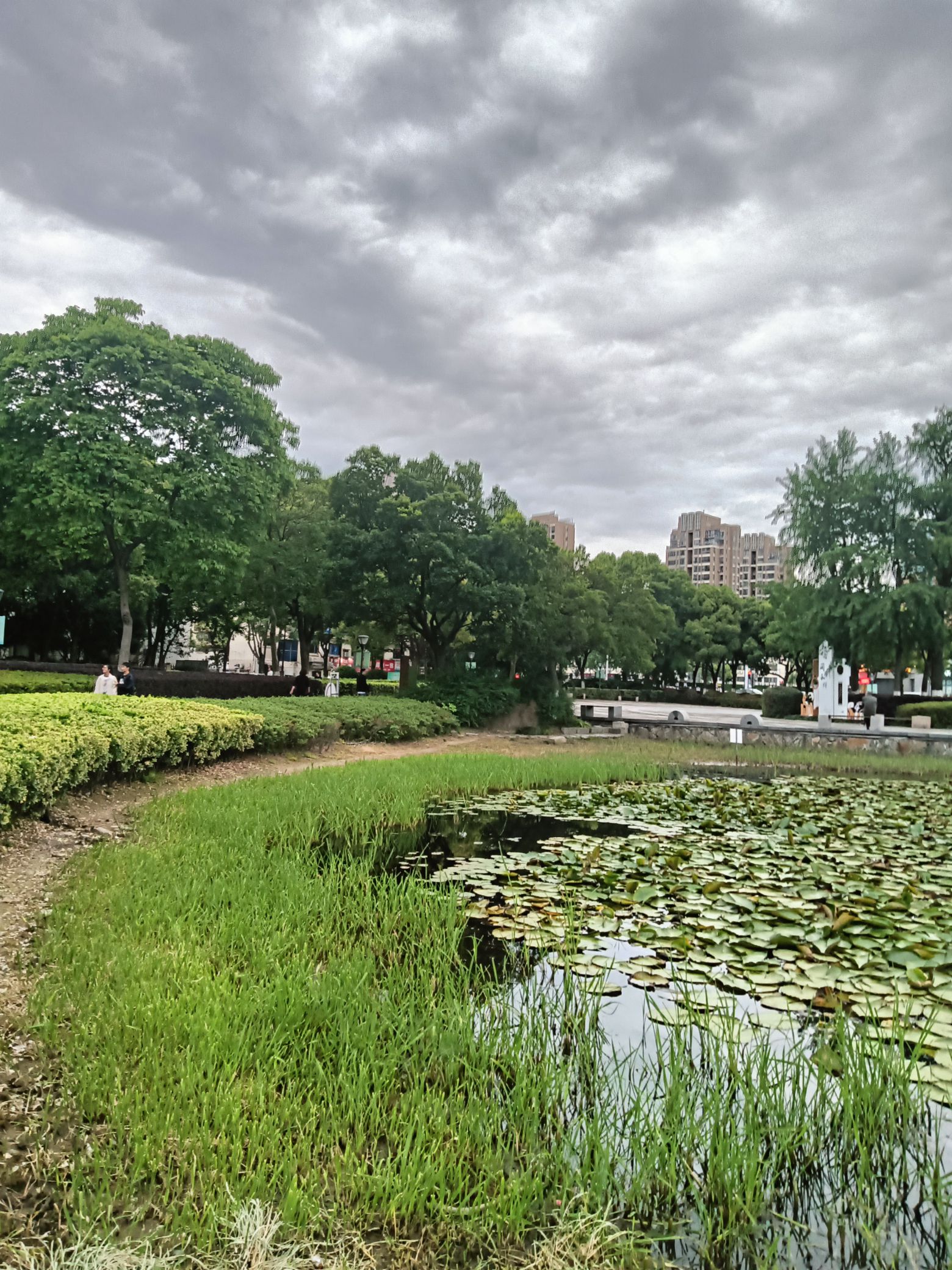 余家漾公园旅行图片
