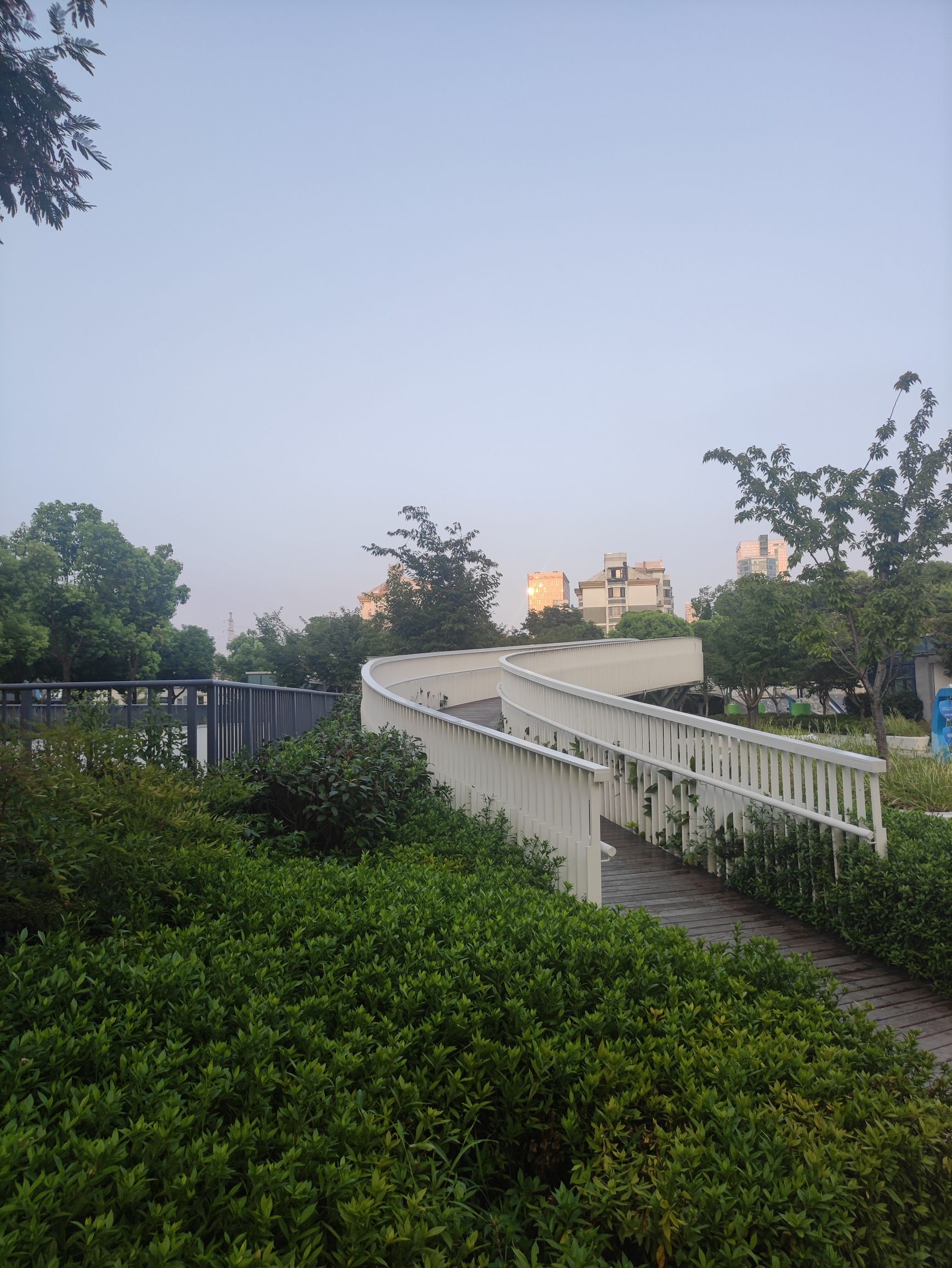 秀洲公园旅行图片