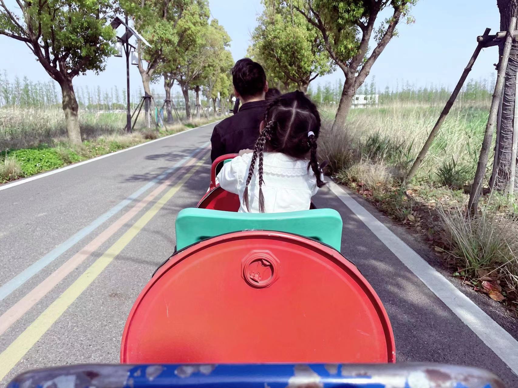 五彩姚庄·浙北桃花岛景区旅行图片