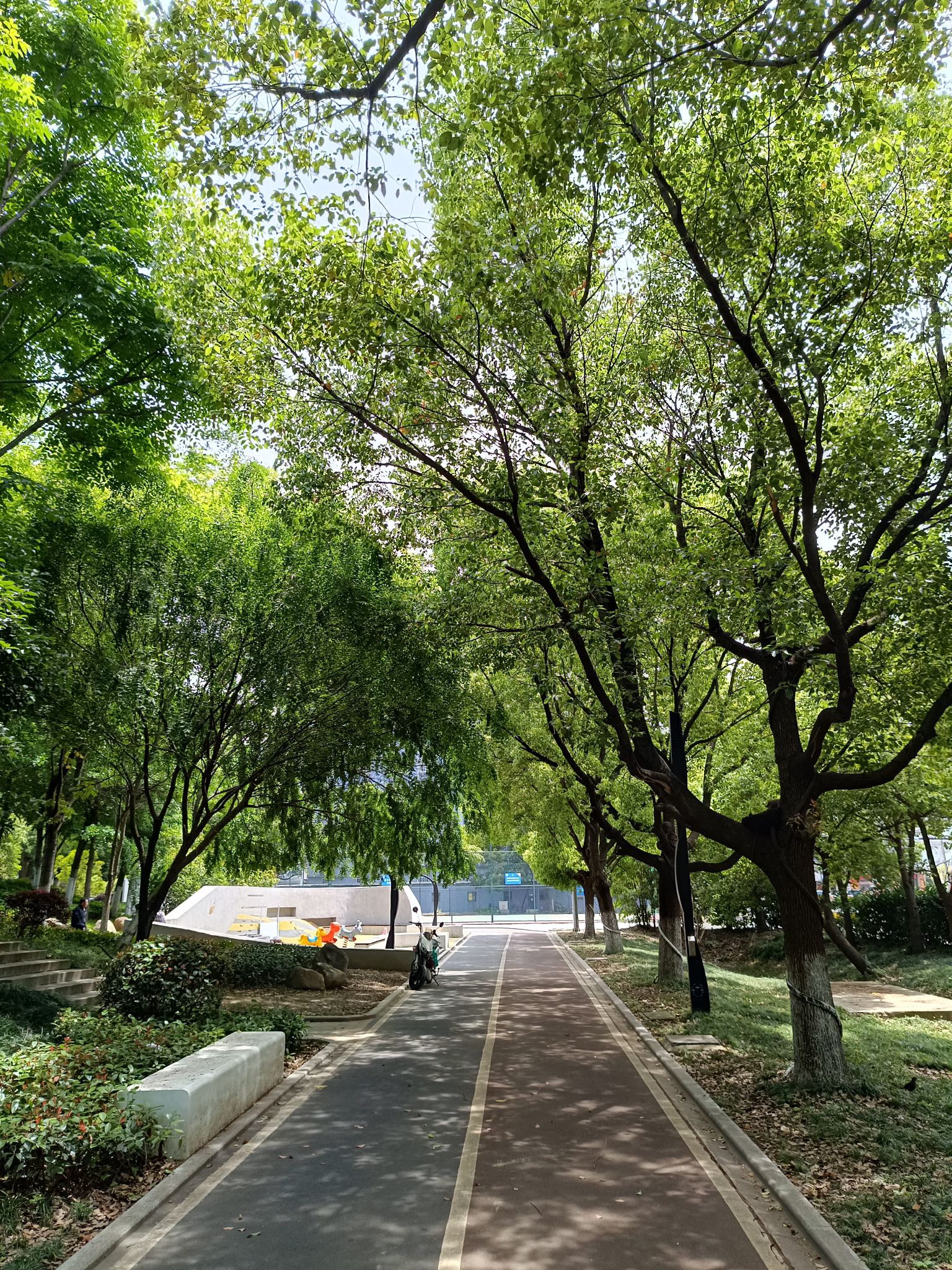 语溪公园旅行图片