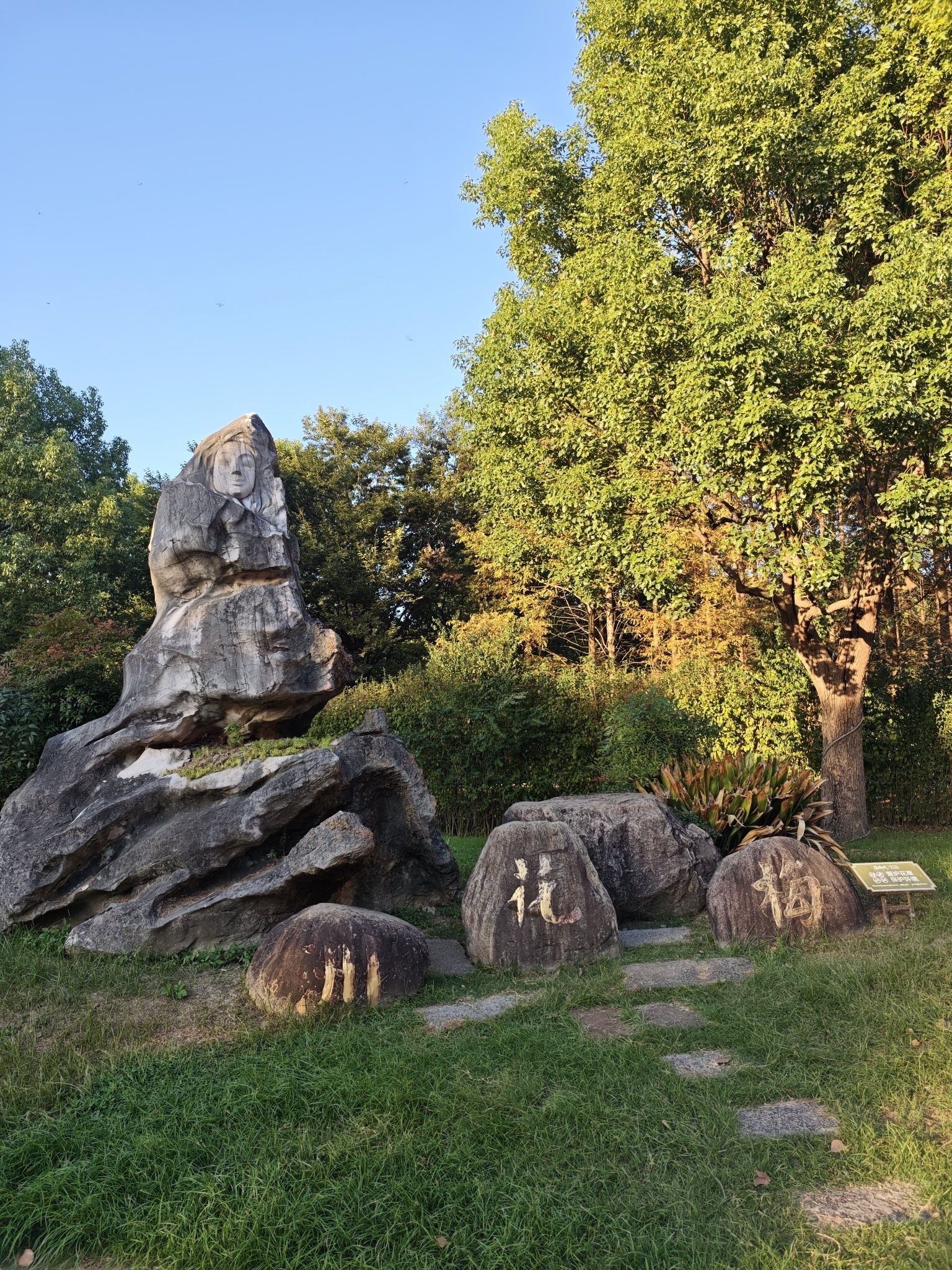 梅花洲景区旅行图片
