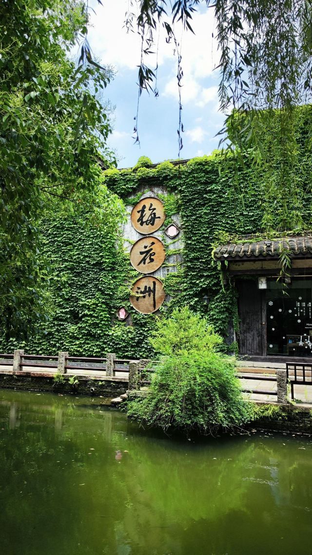 梅花洲景区旅行图片