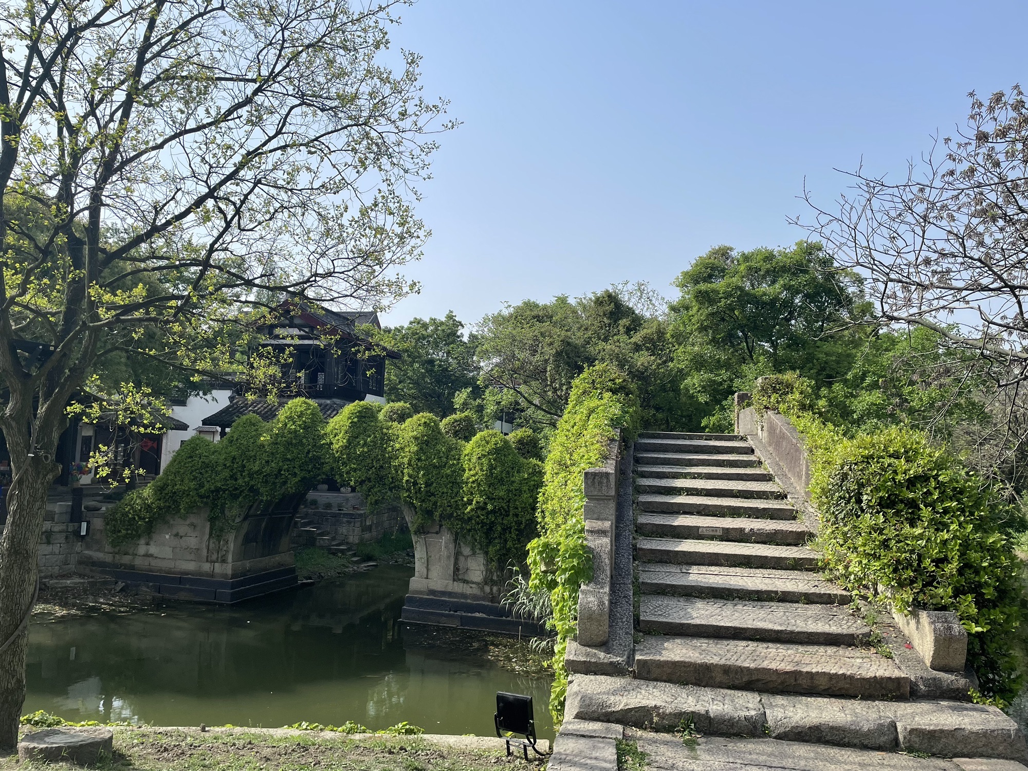 梅花洲景区旅行图片