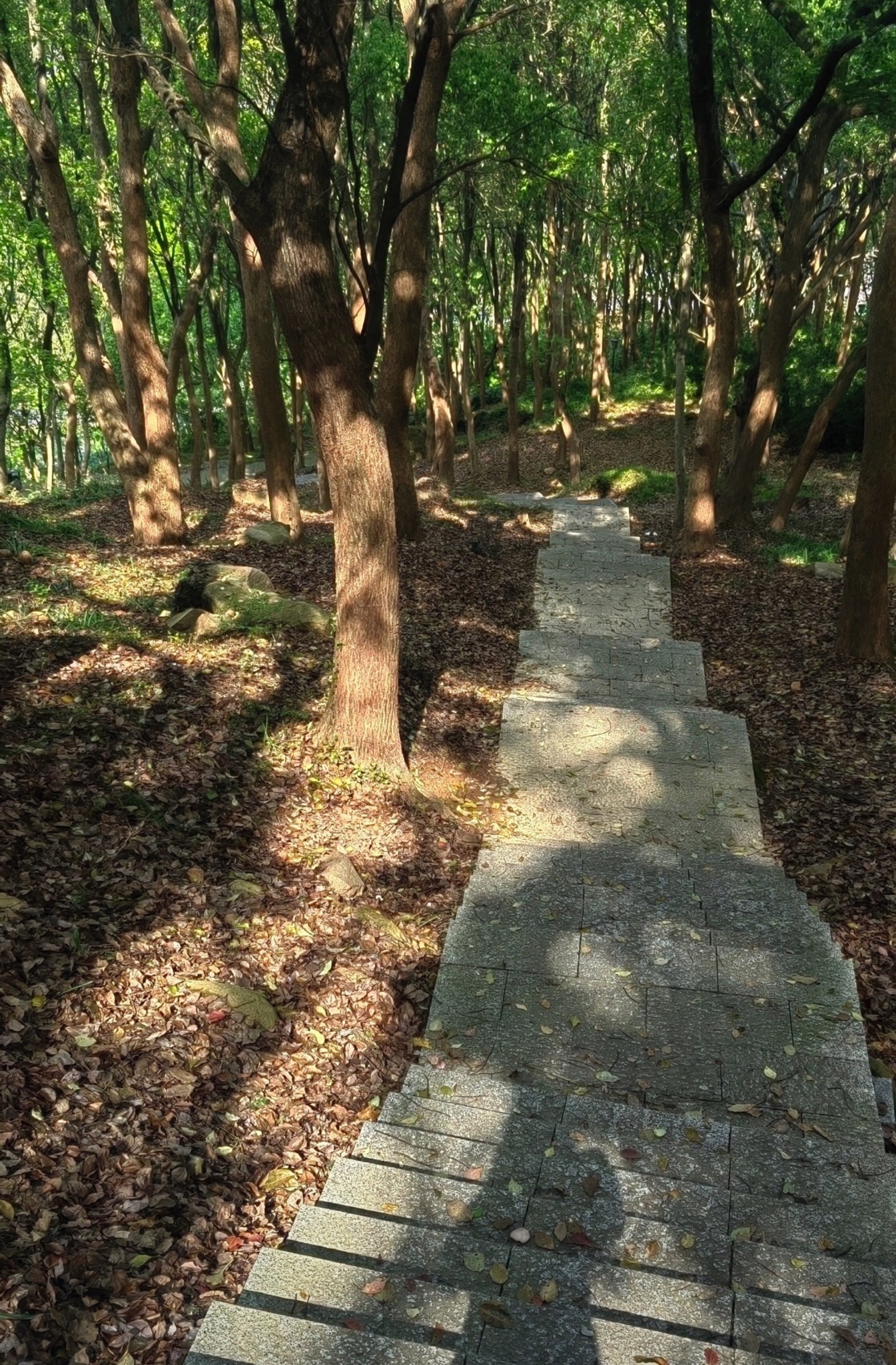 汤山公园