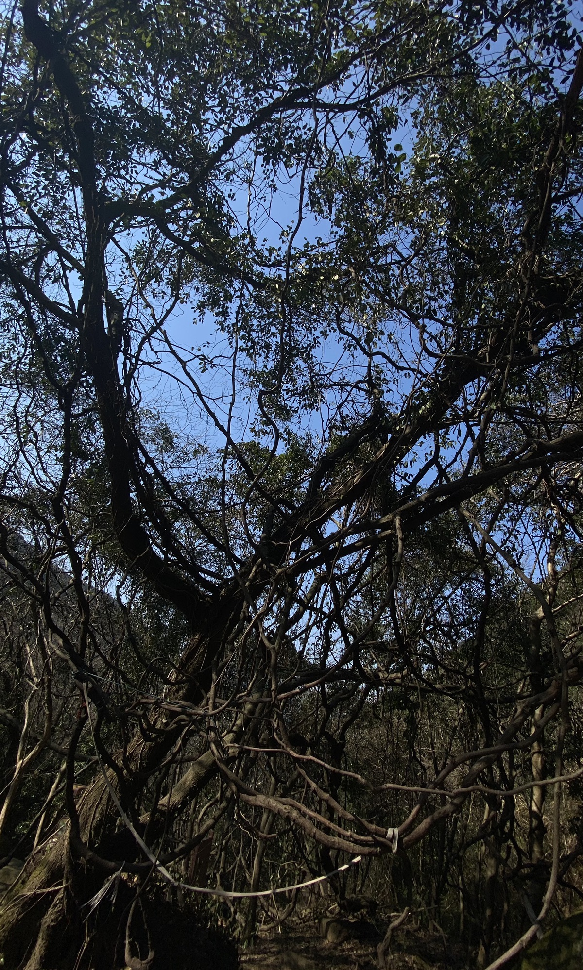 慈溪市五磊山风景区