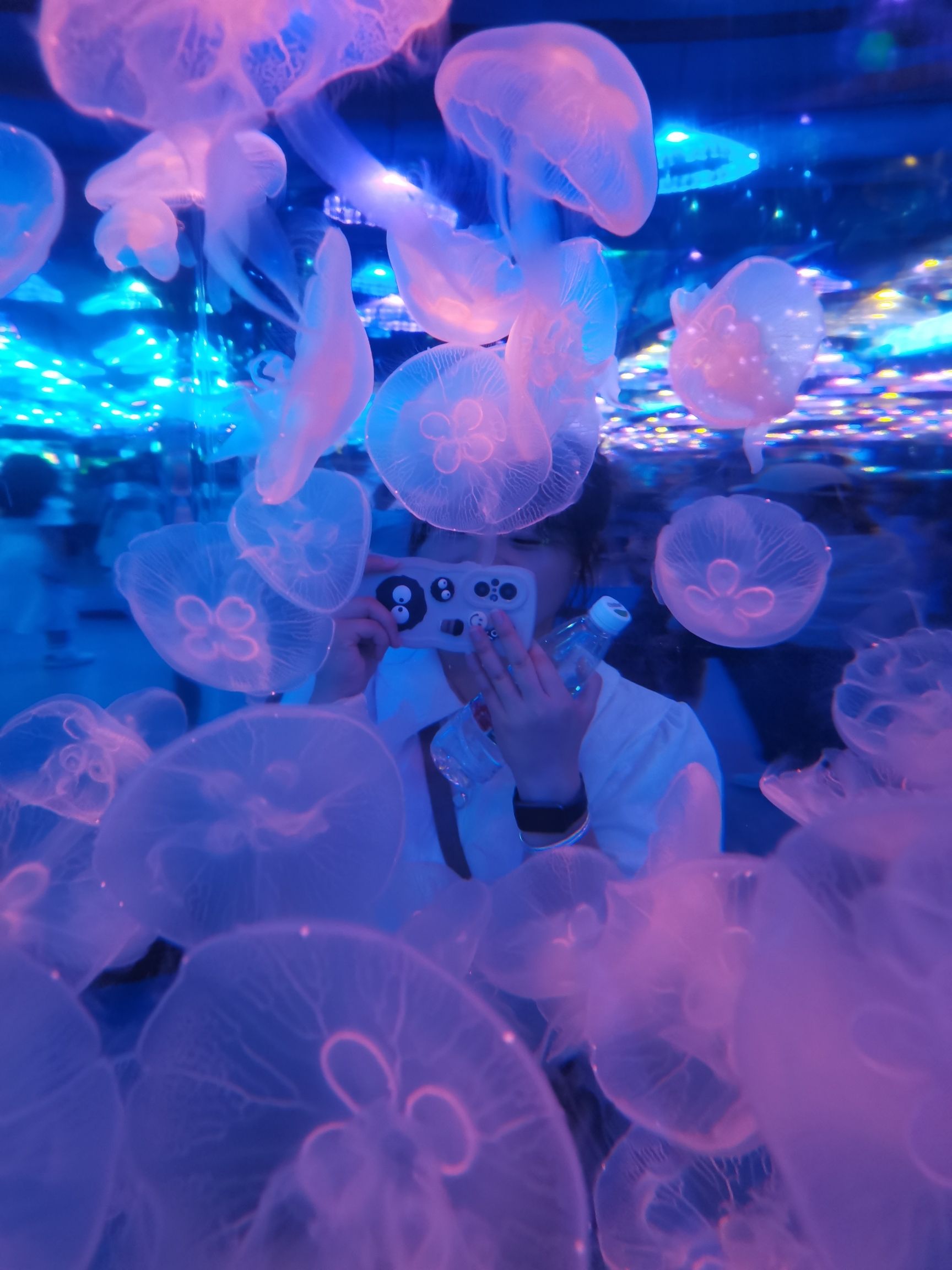 宁波海洋世界旅行图片