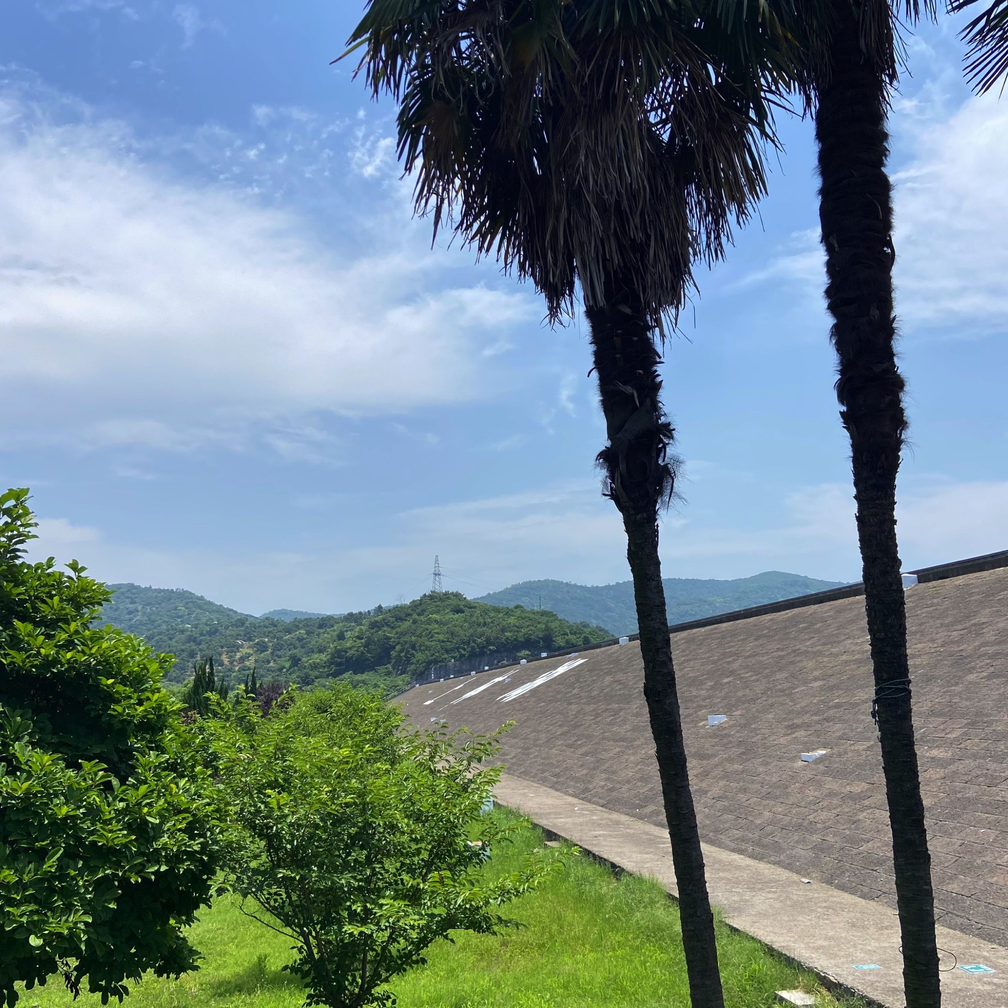 上林湖旅行图片