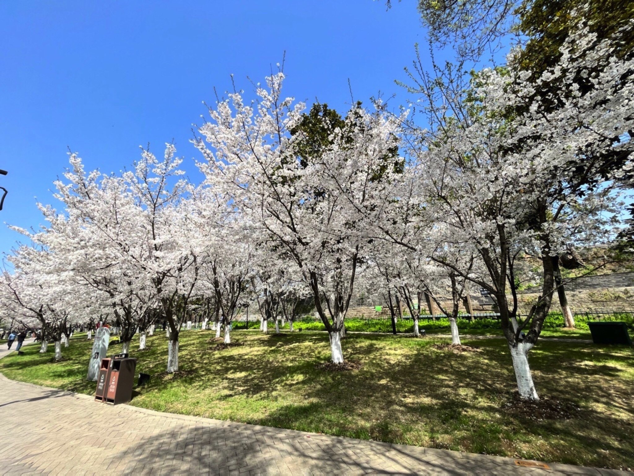 龙山公园