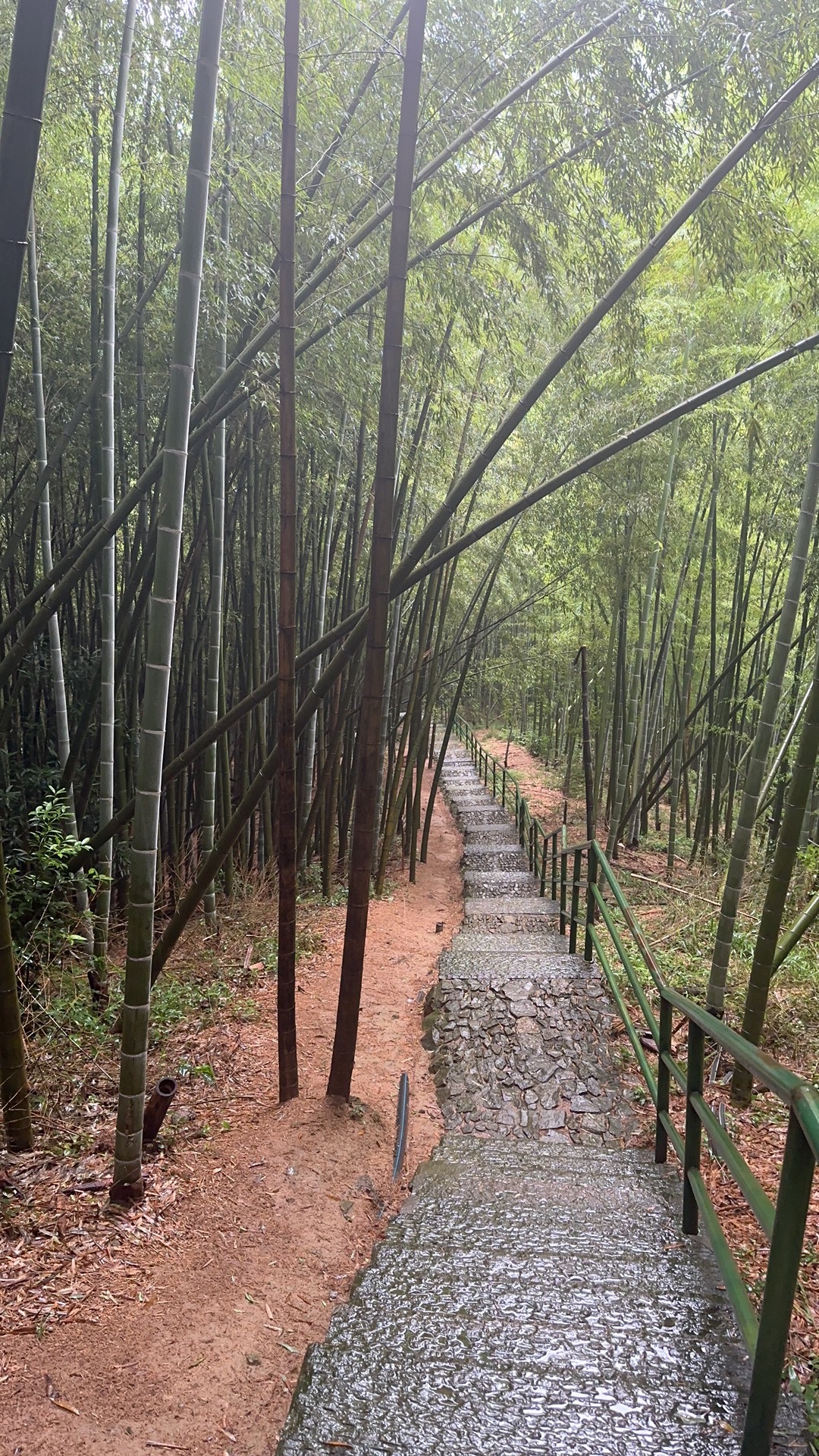 九龙湖旅游区