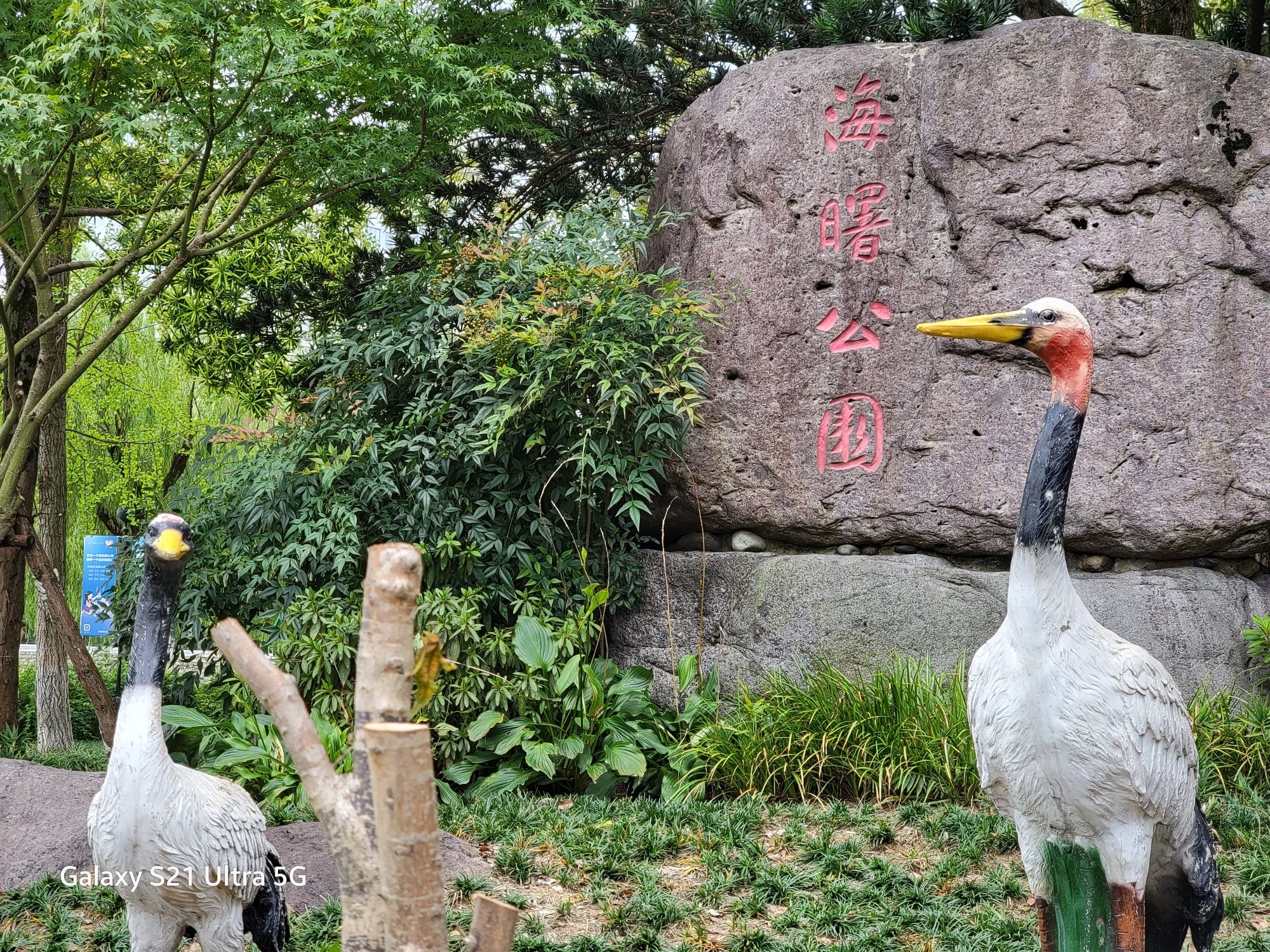 海曙公园旅行图片