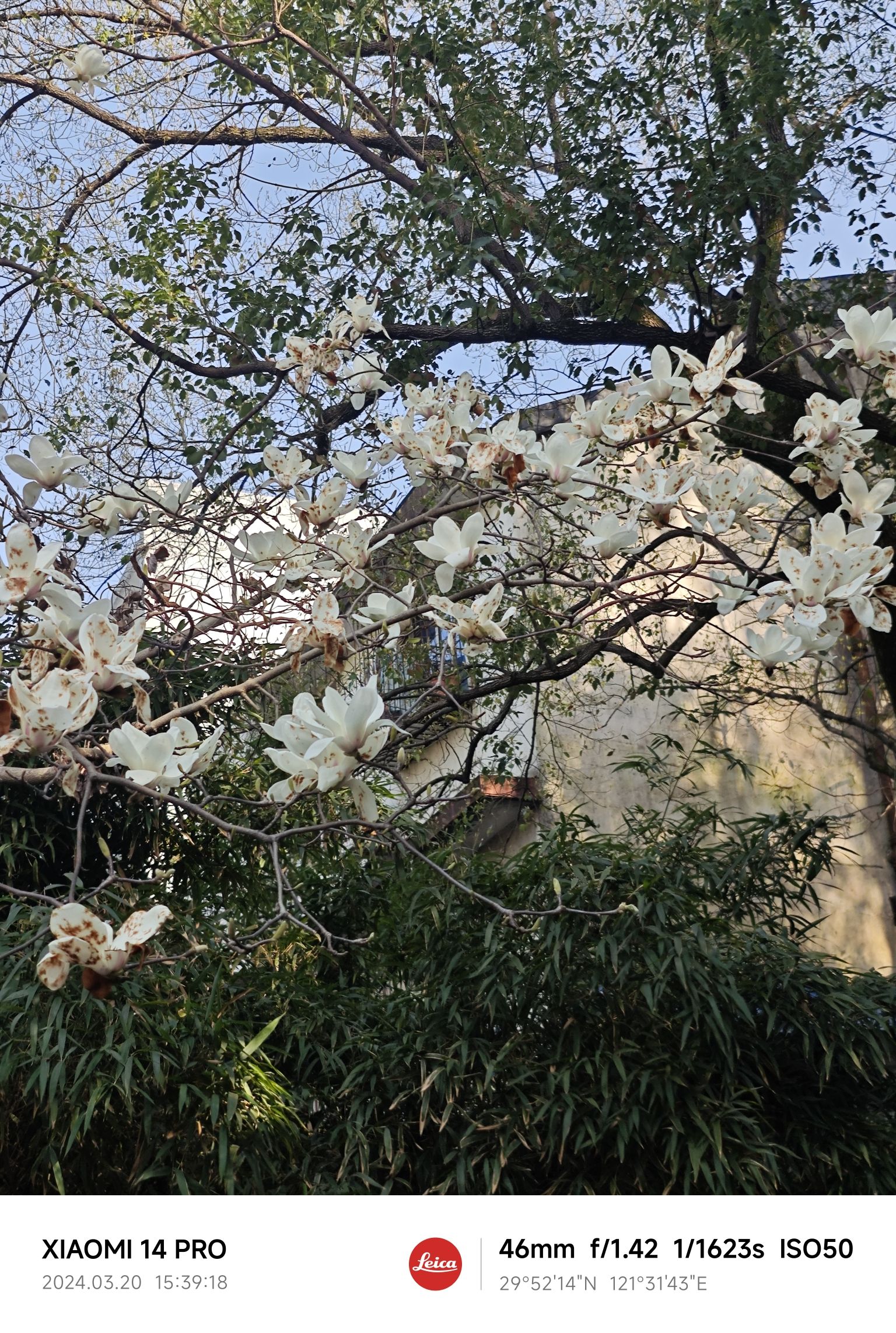 马园法治文化公园