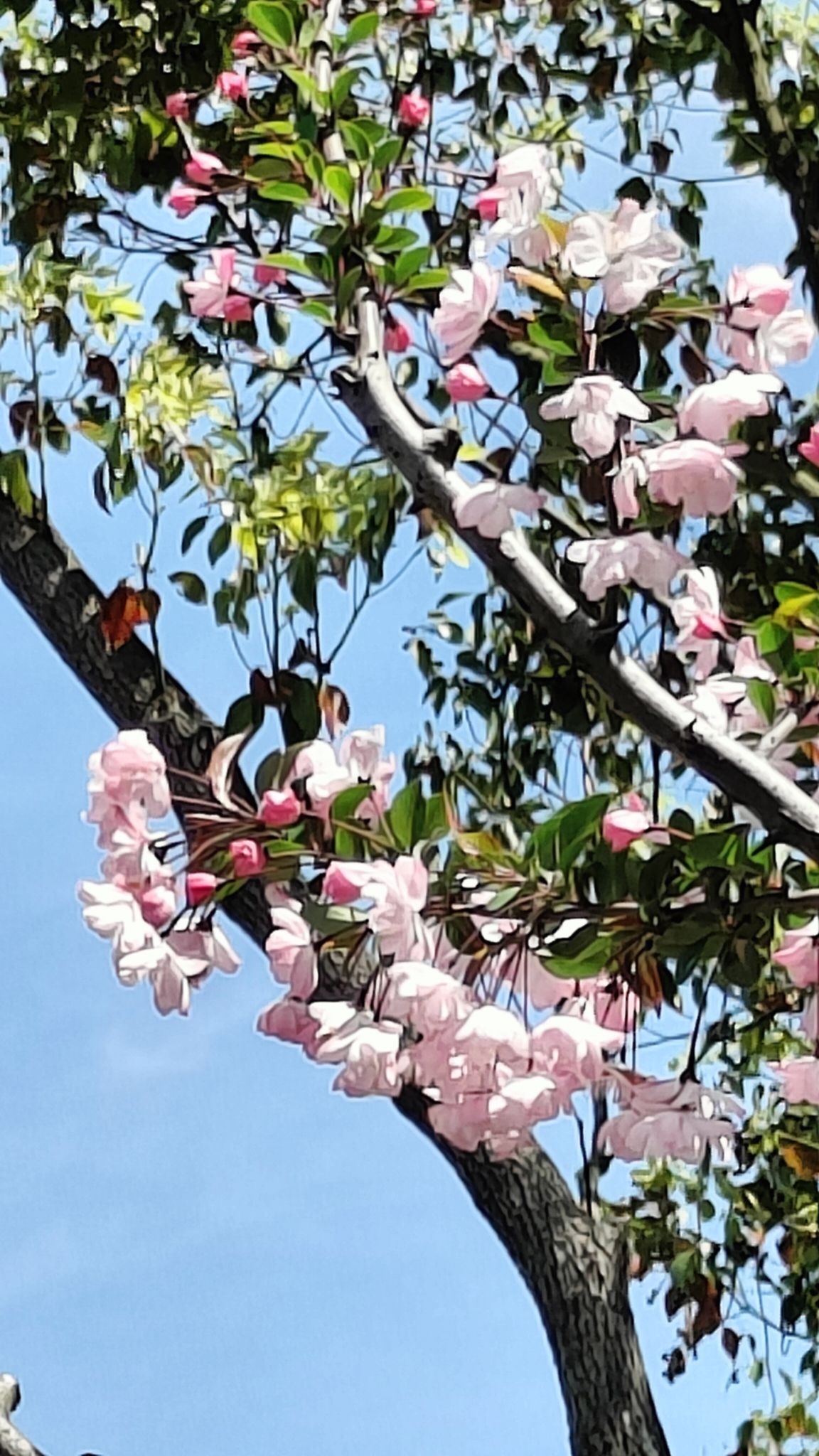 东钱湖风景名胜区旅行图片