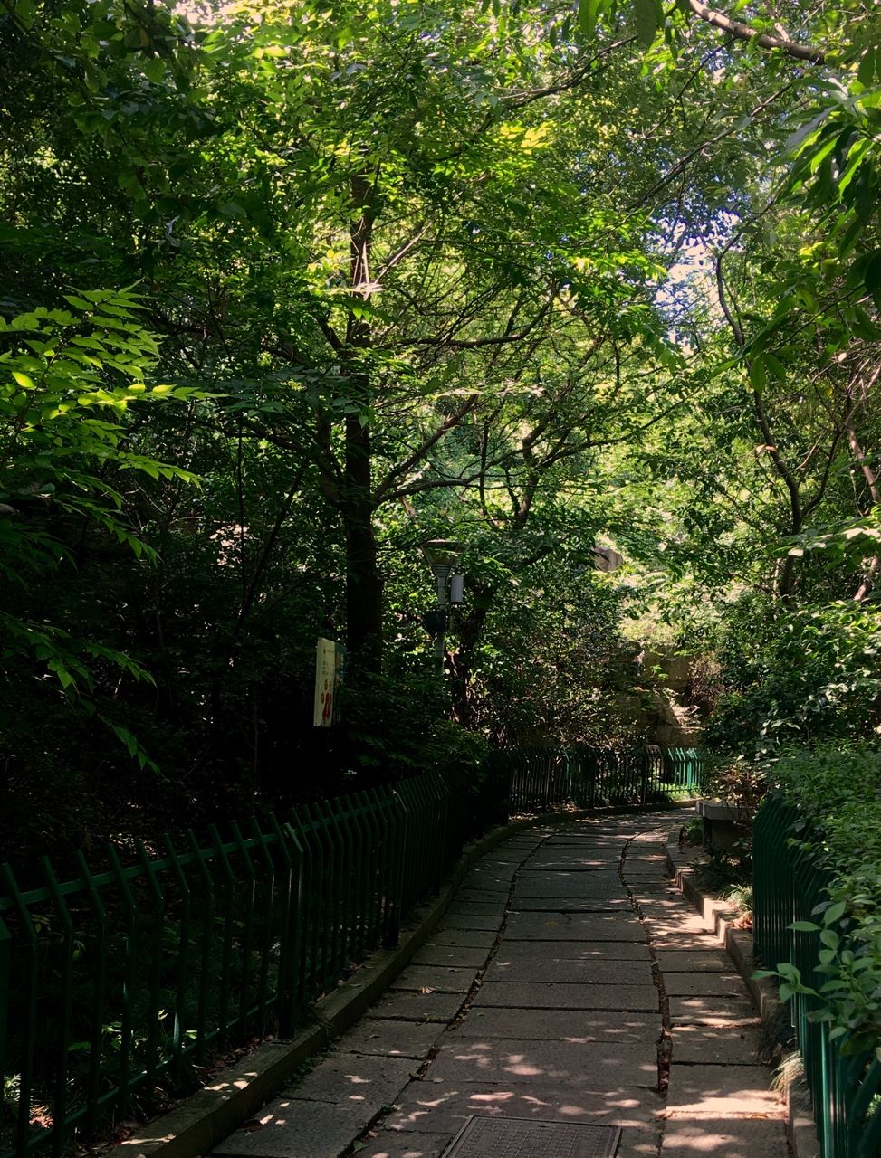 虎屿公园旅行图片
