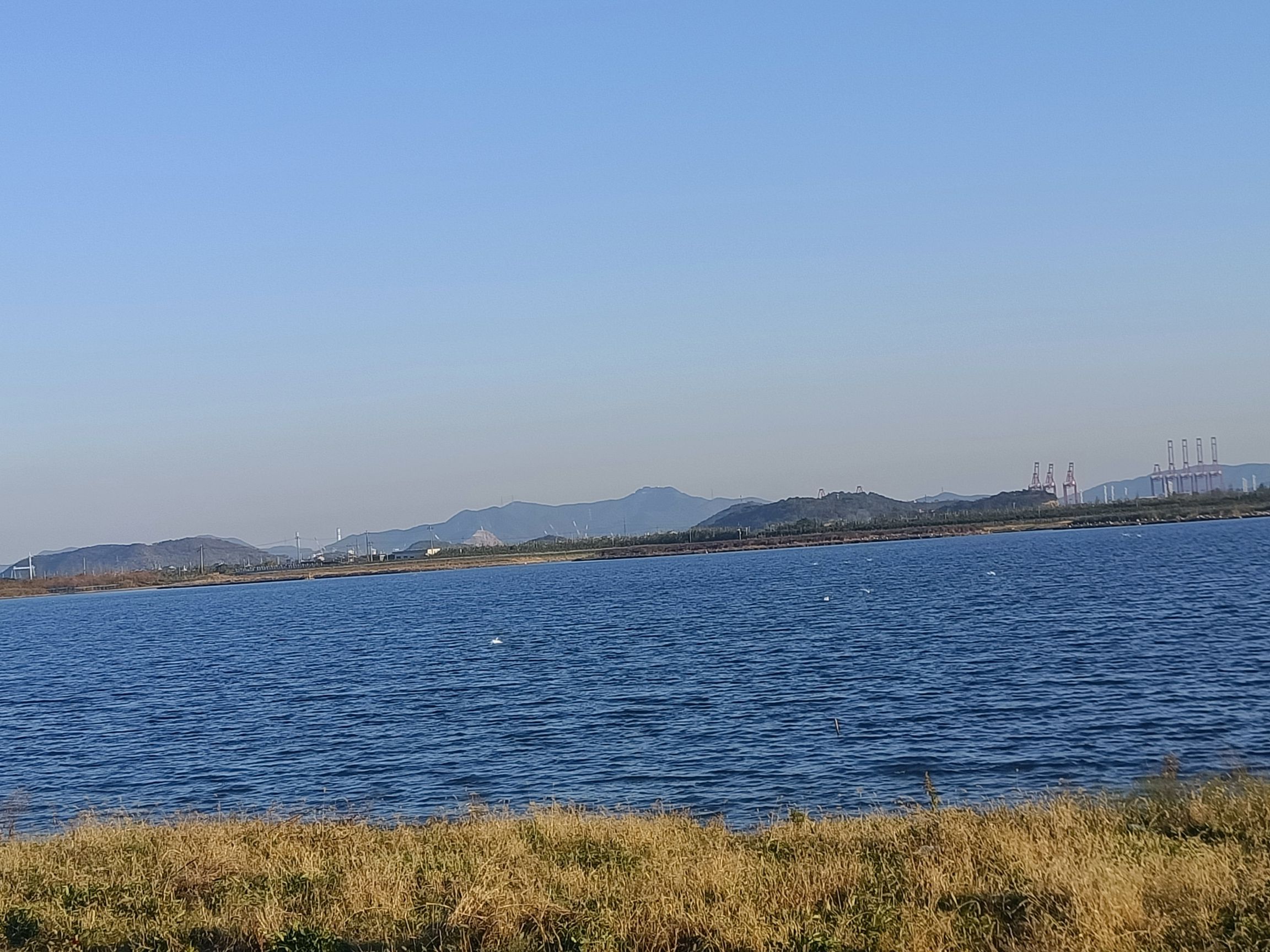 海塘观景台