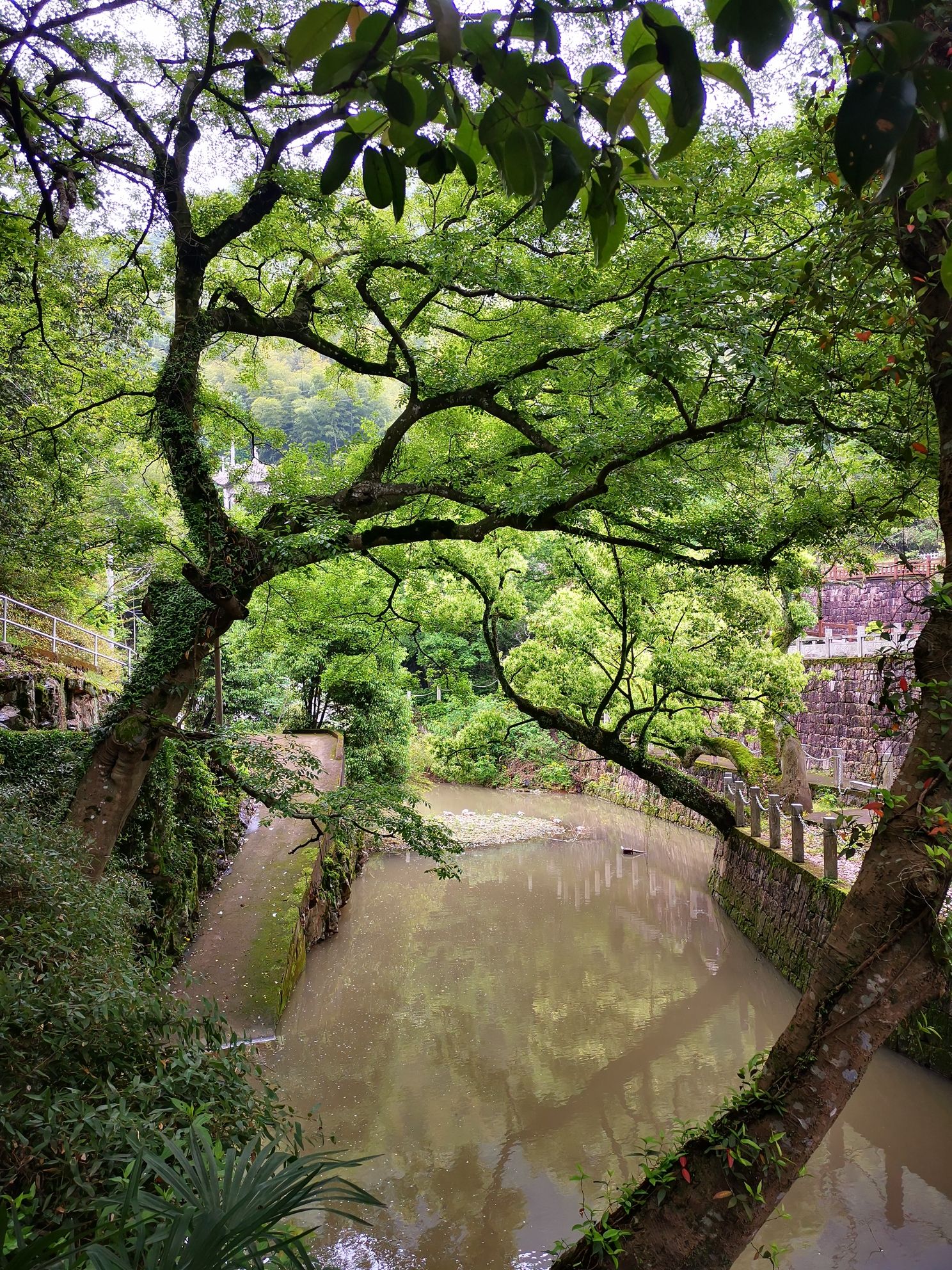 石井龙潭景区