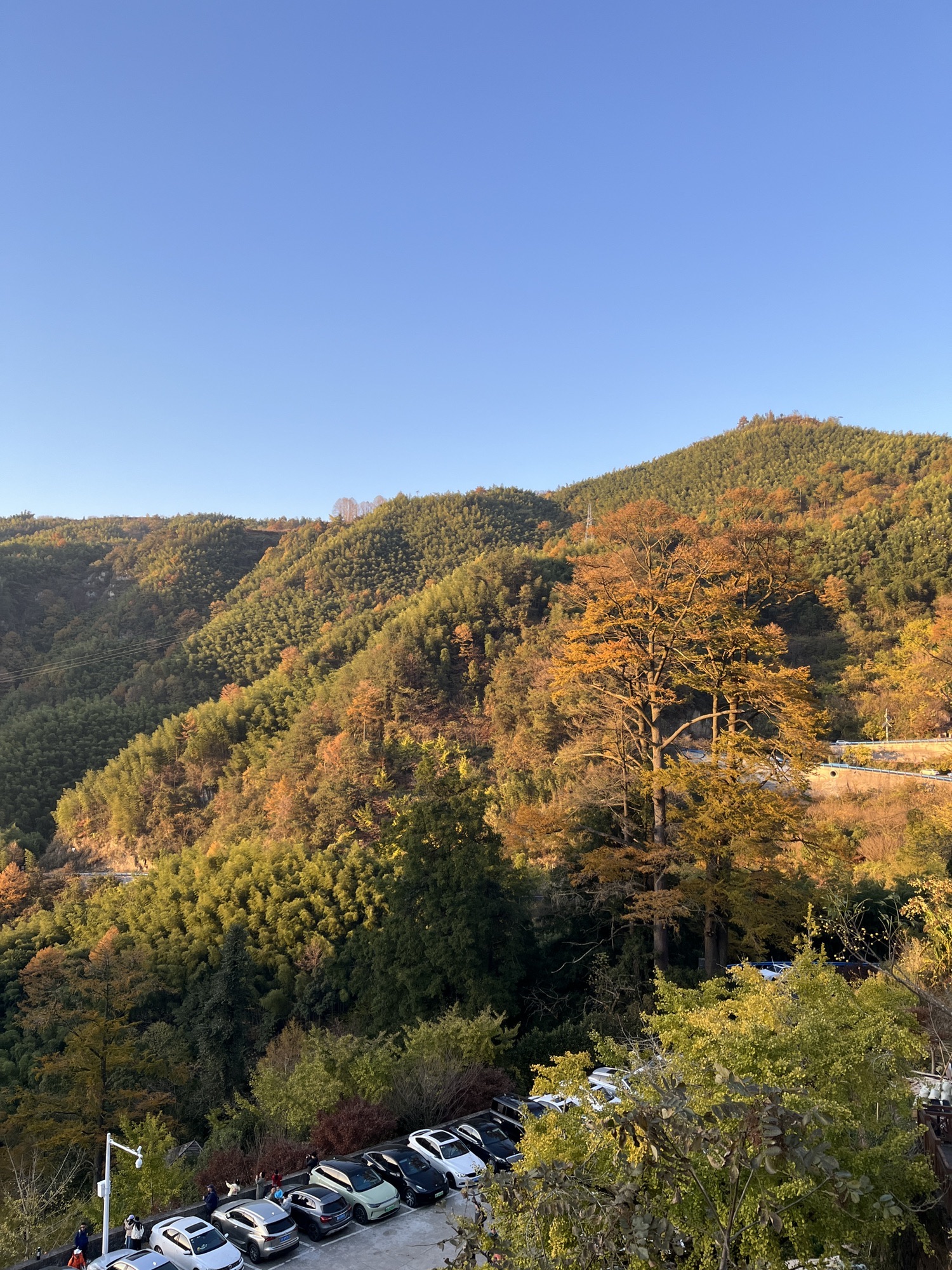 茅镬古树公园