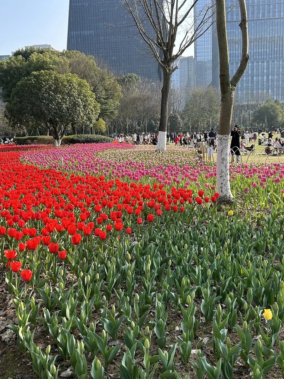 鄞州公园