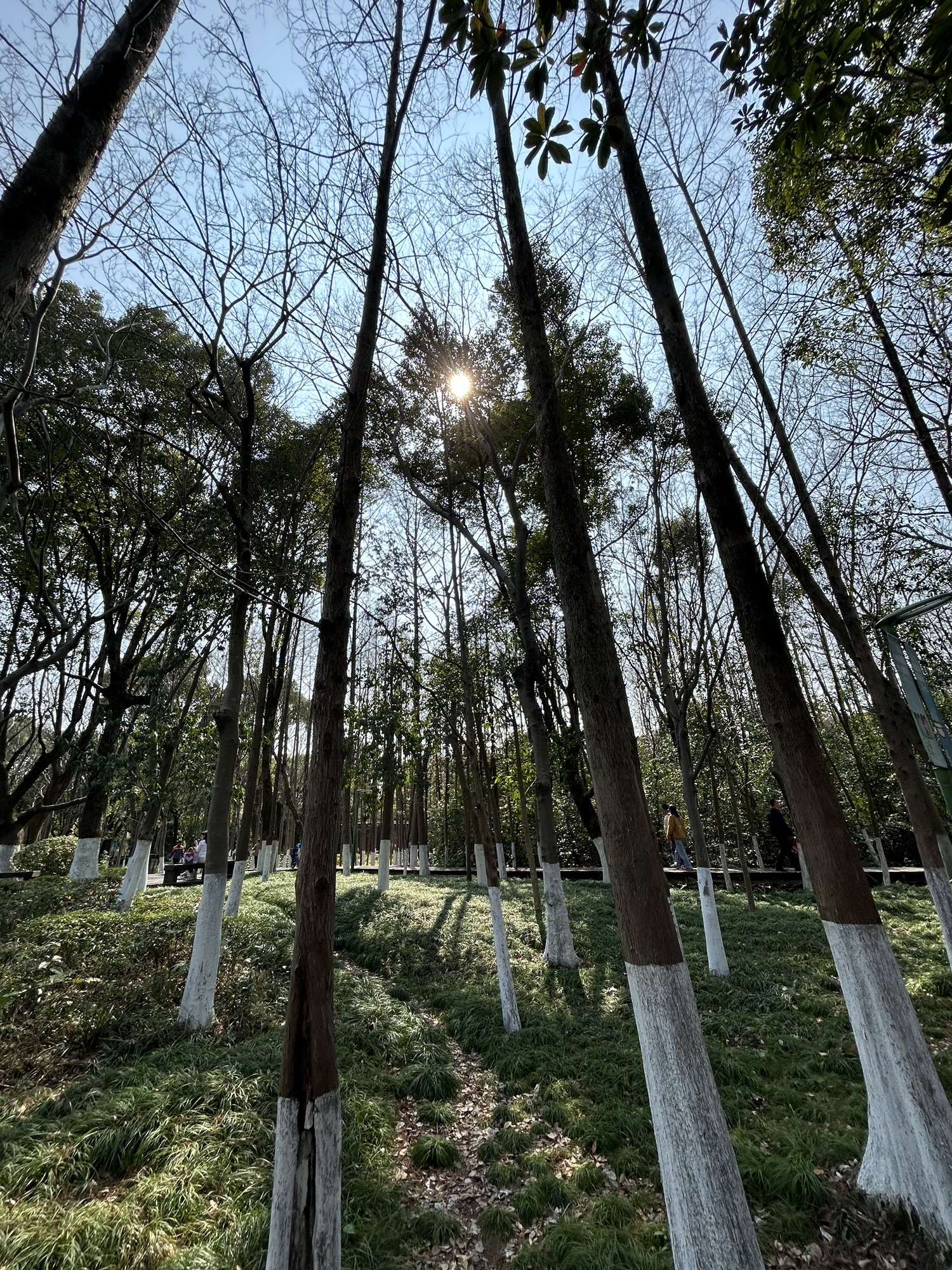 鄞州公园旅行图片
