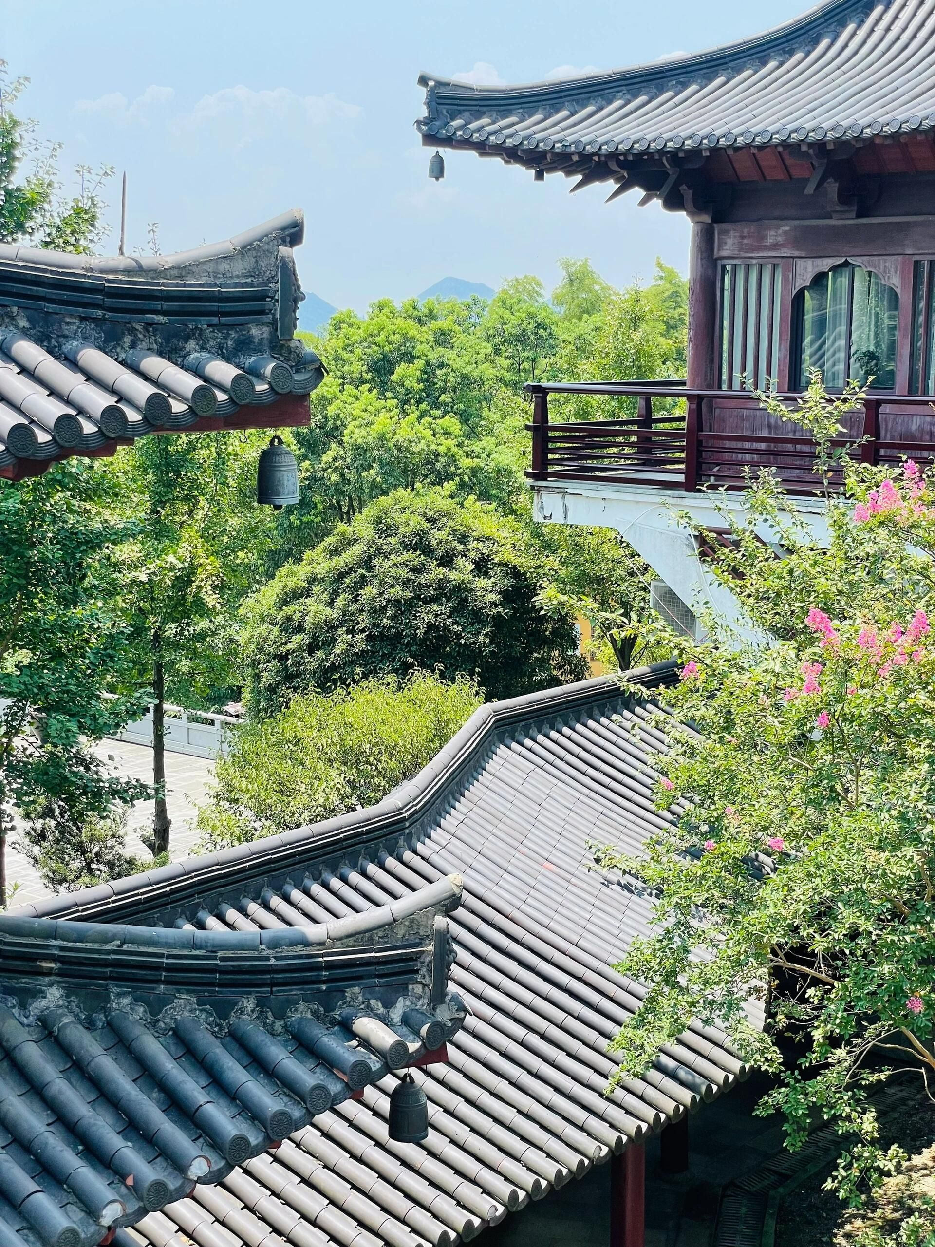 雅戈尔达蓬山旅游度假区旅行图片