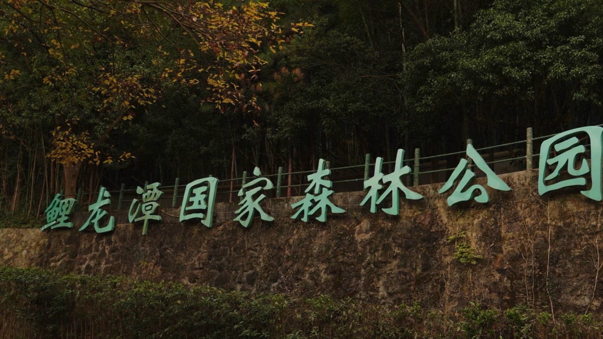 鲤龙潭森林公园旅行图片