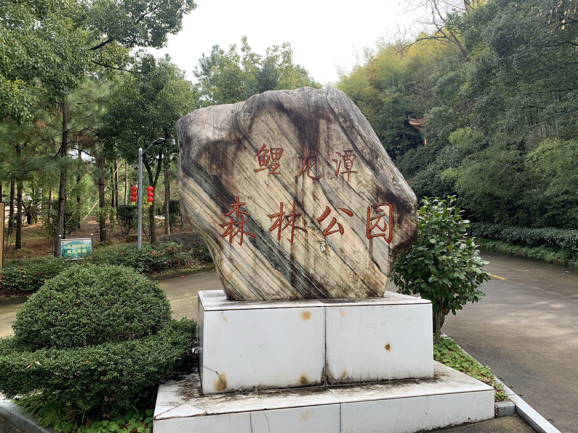鲤龙潭森林公园旅行图片
