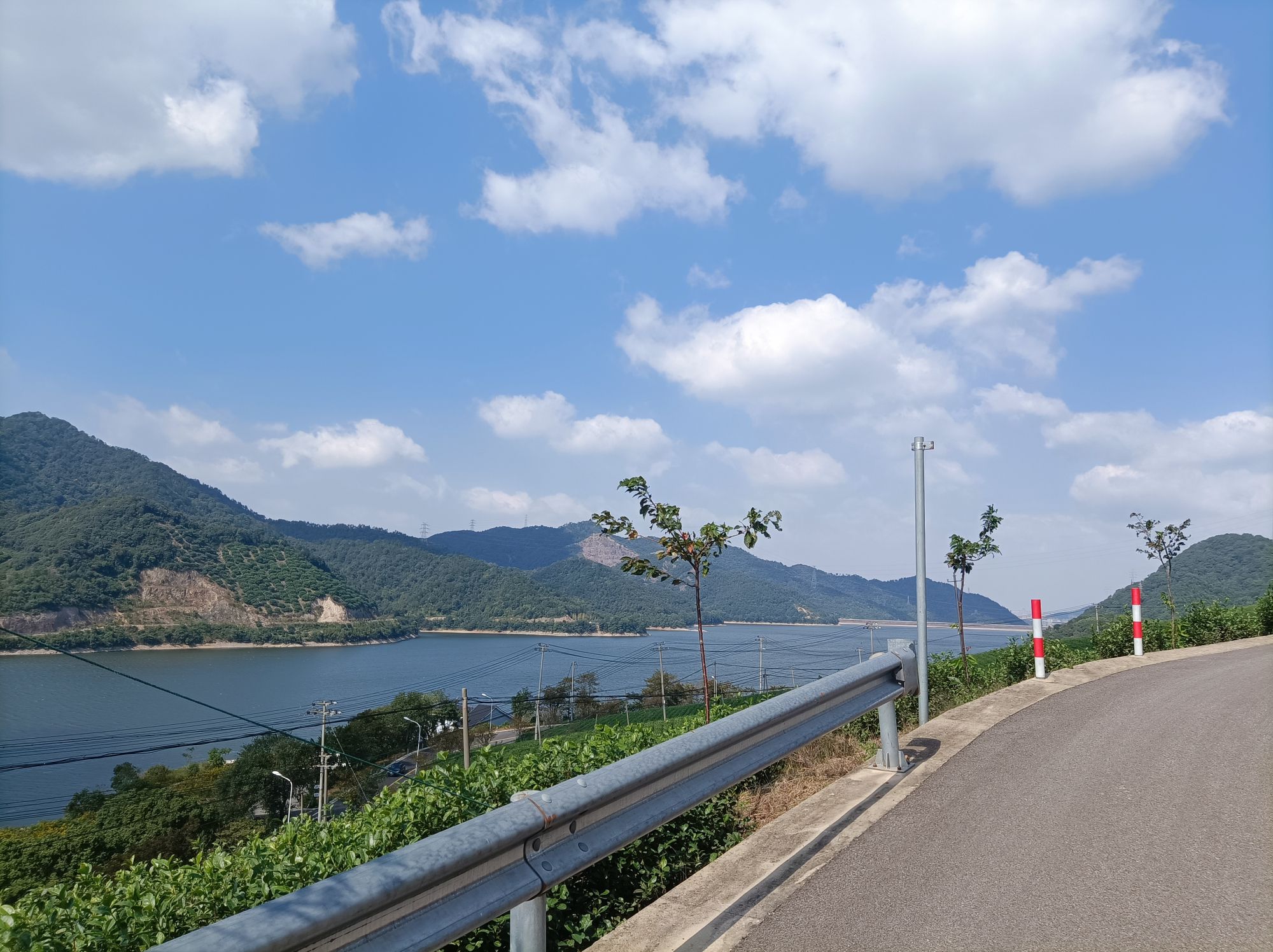 金鹅湖