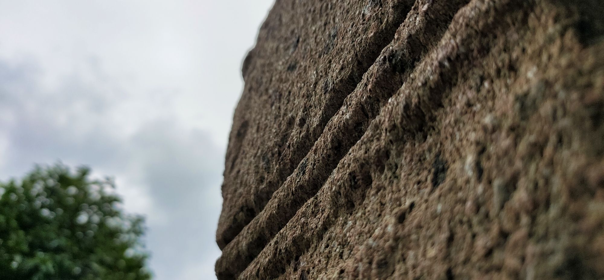 滨江公园旅行图片