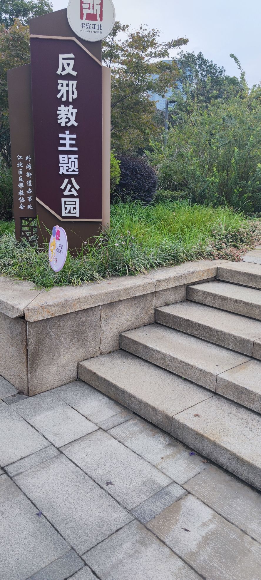 槐树公园旅行图片