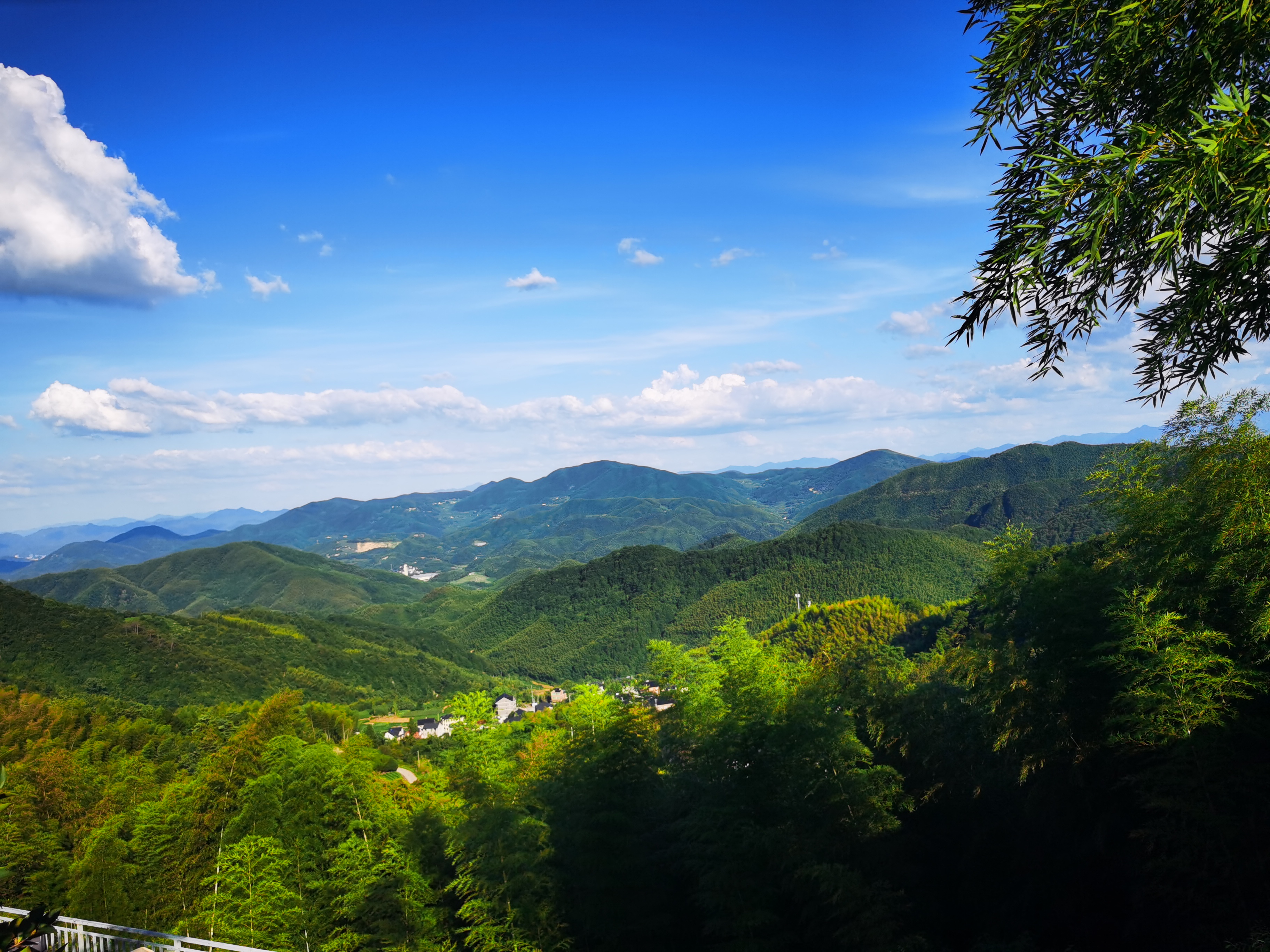 杭州湾国家湿地公园旅行图片