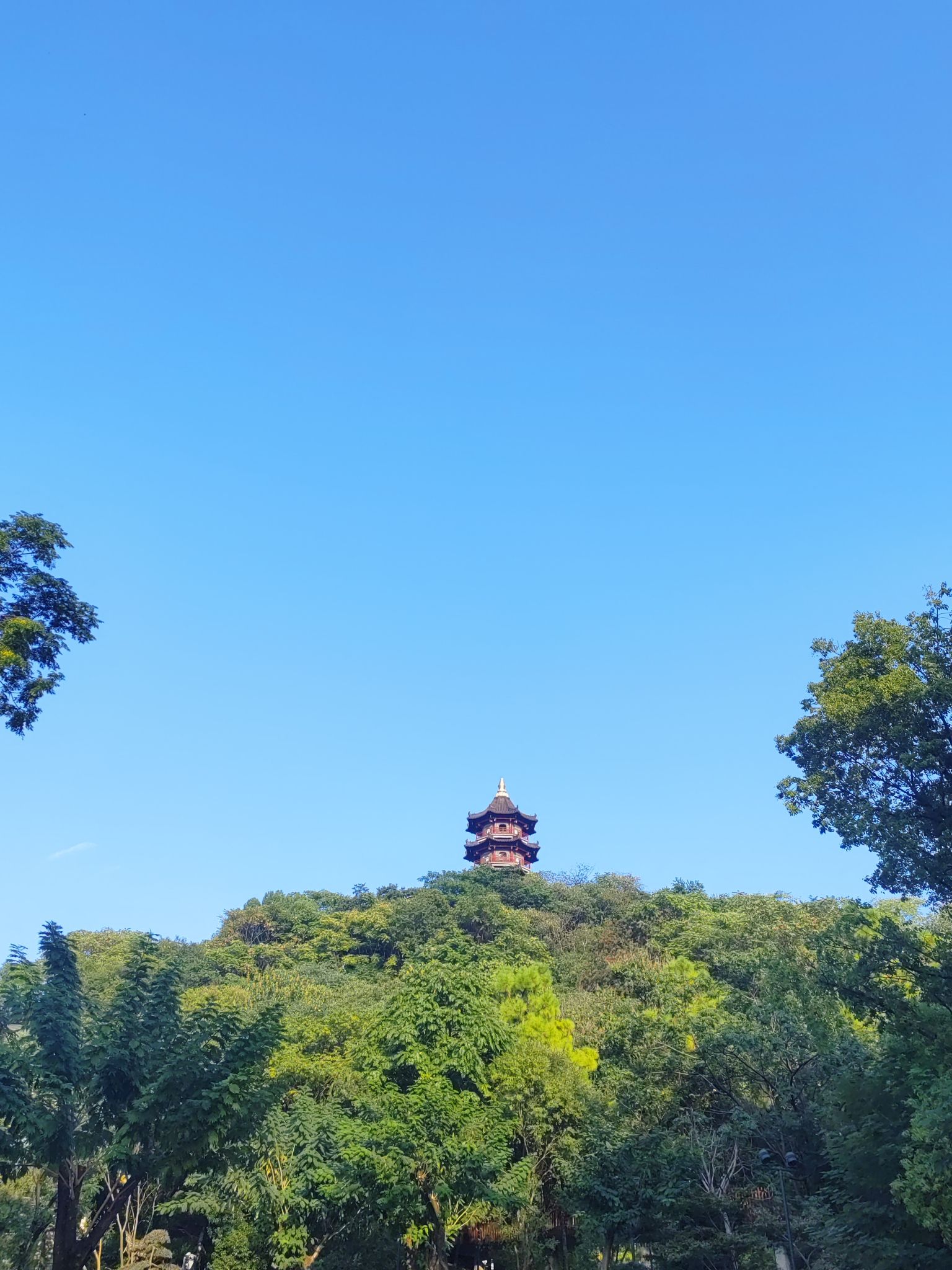 蕺山公园旅行图片