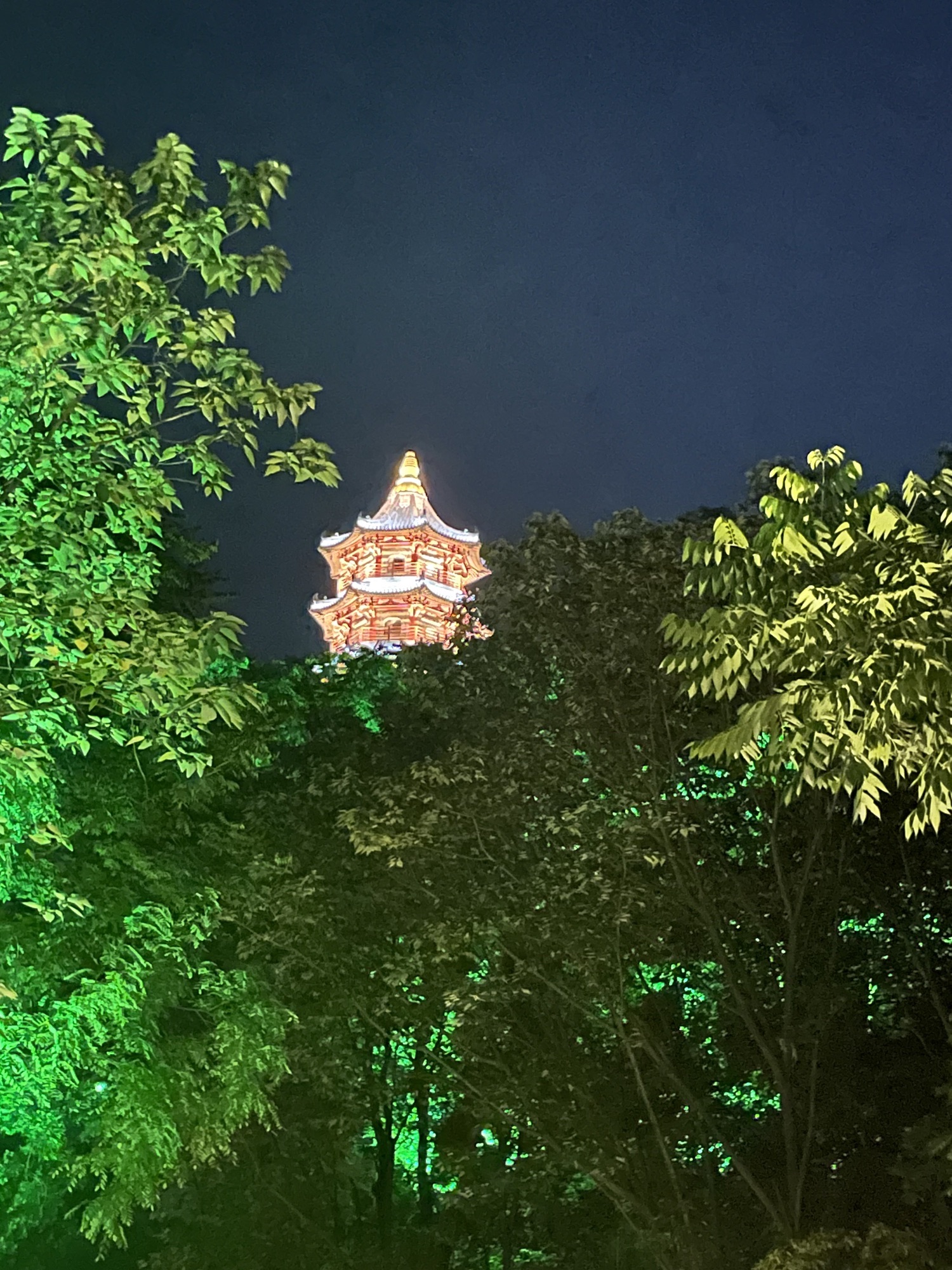 蕺山公园旅行图片