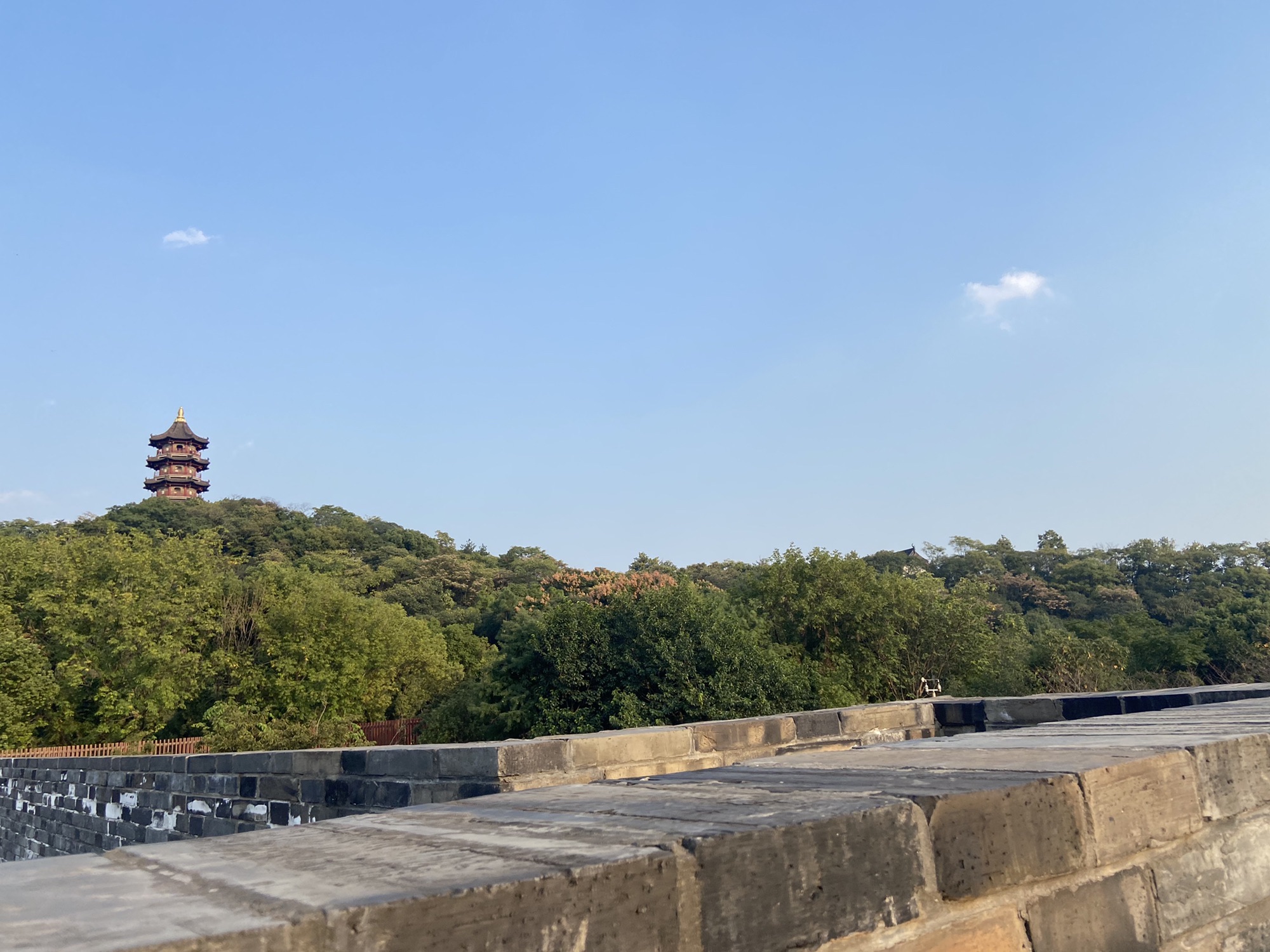 蕺山公园旅行图片