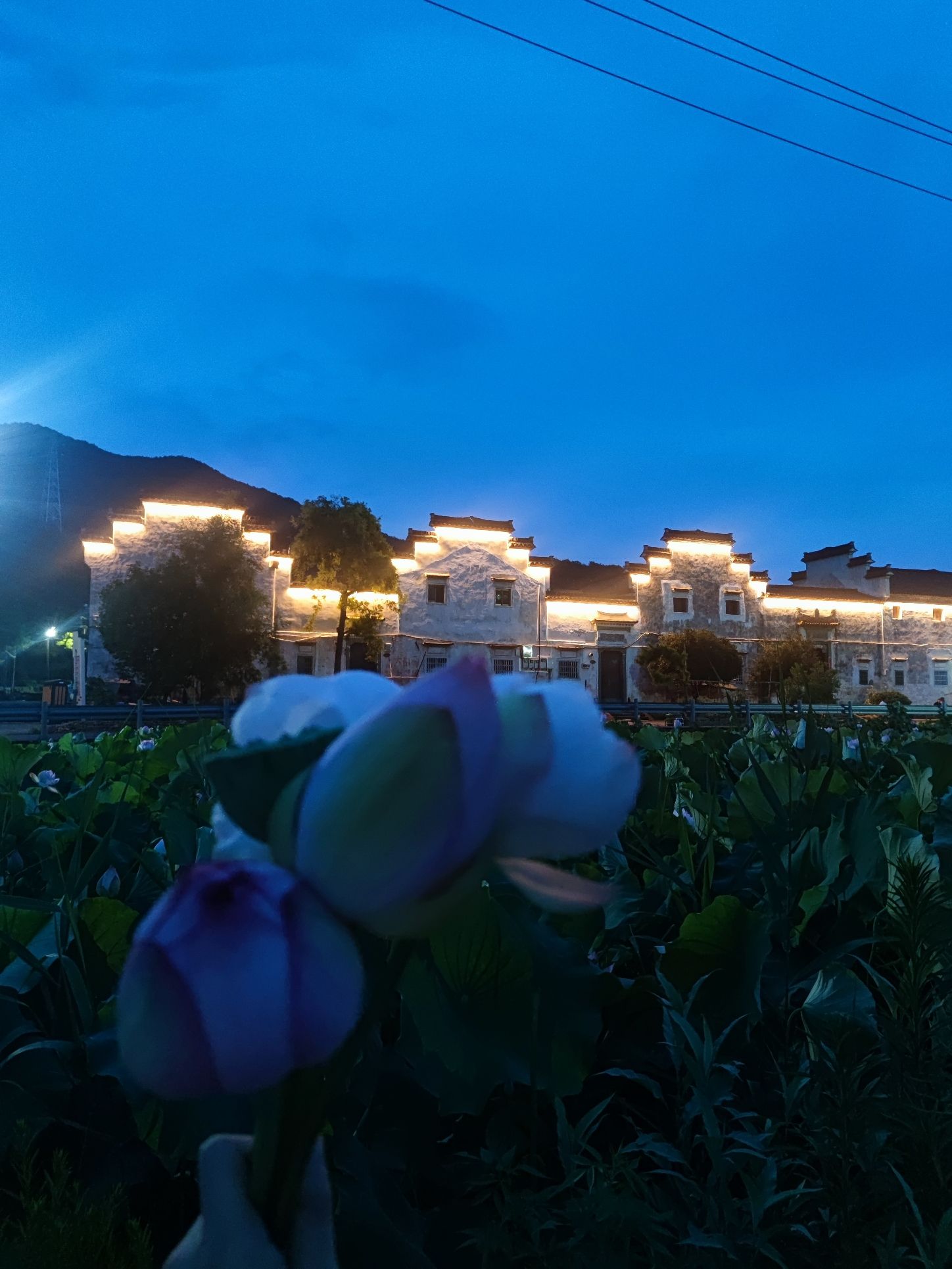 藏绿古建筑群旅行图片