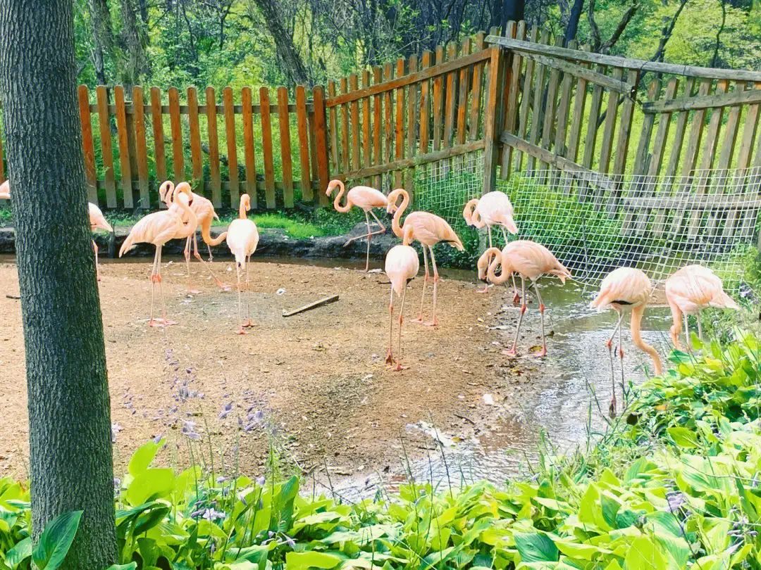 绍兴美湖动物园