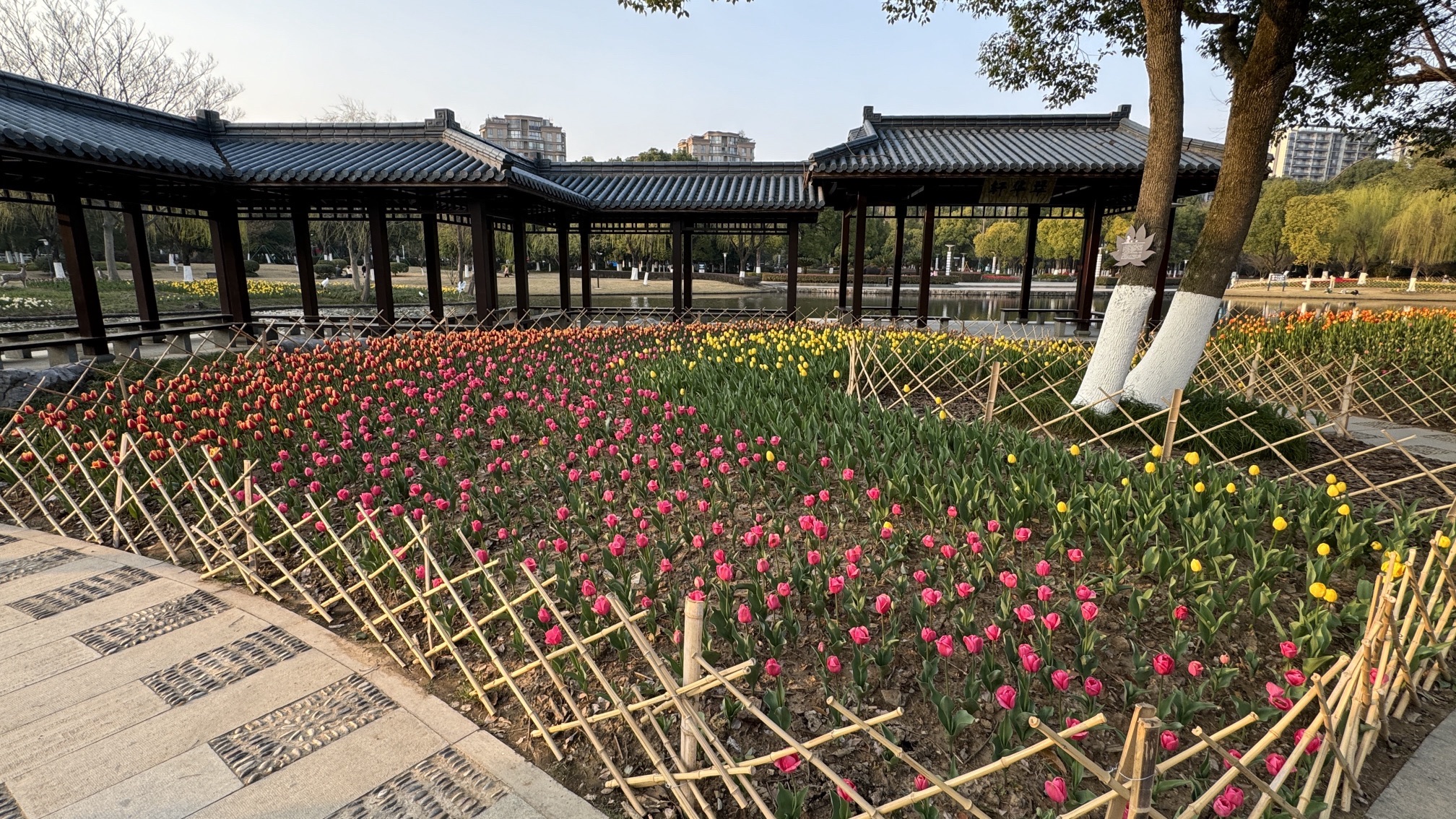 体育公园