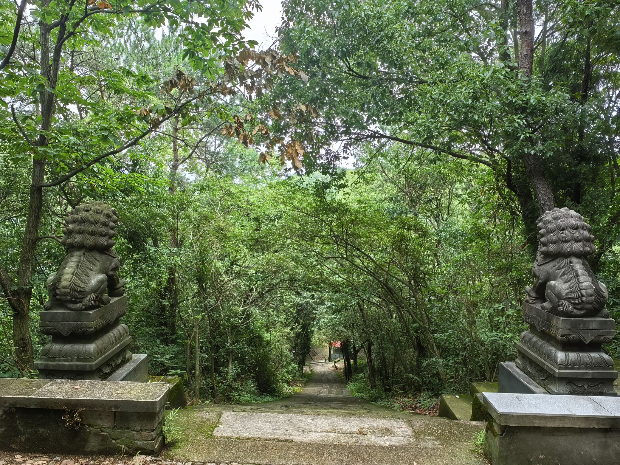 南山风景区旅行图片