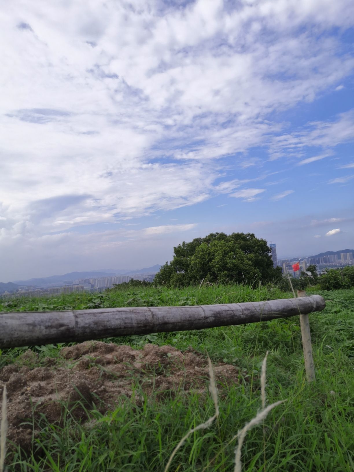虎山公园
