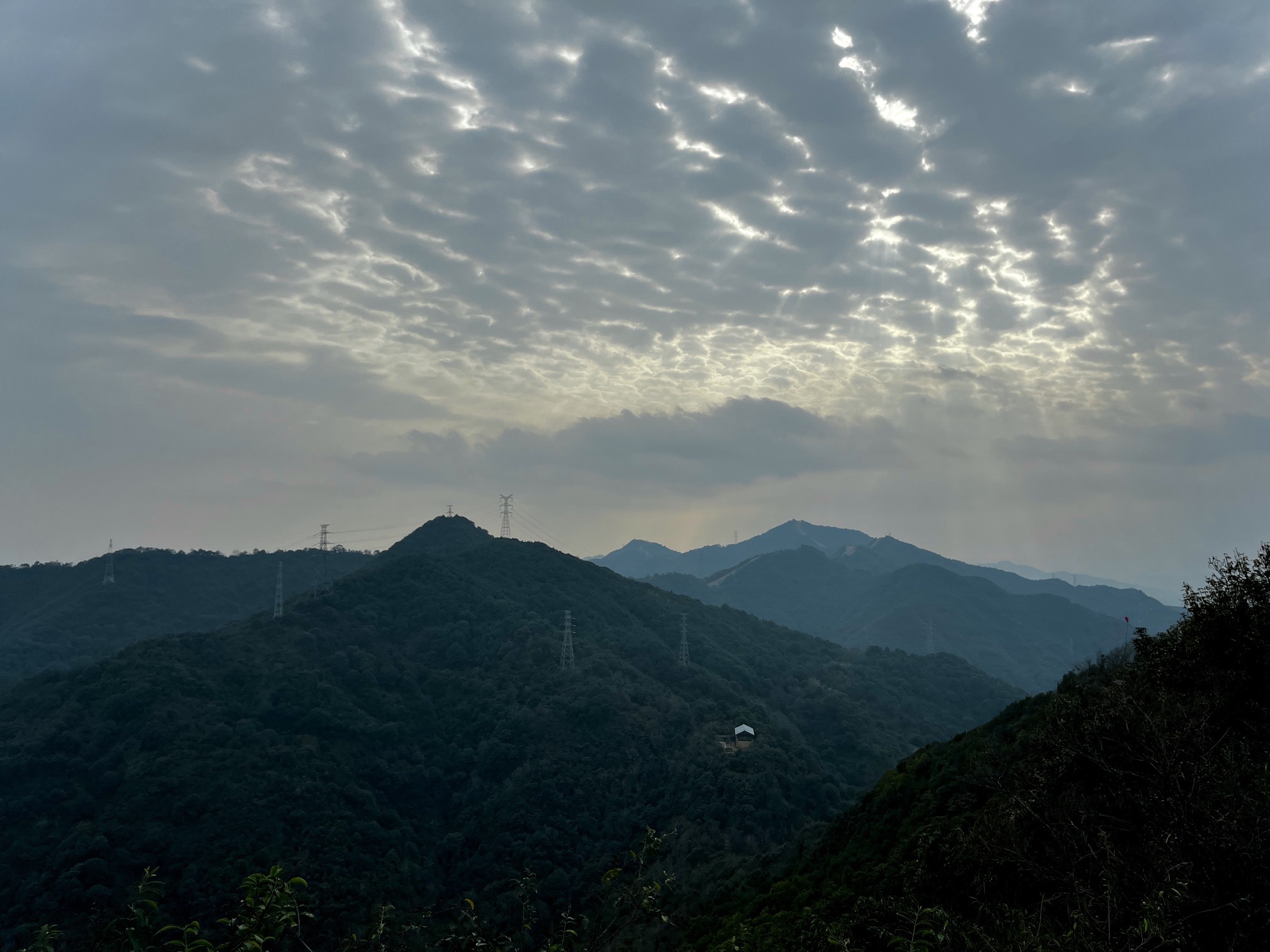 石浜公园旅行图片