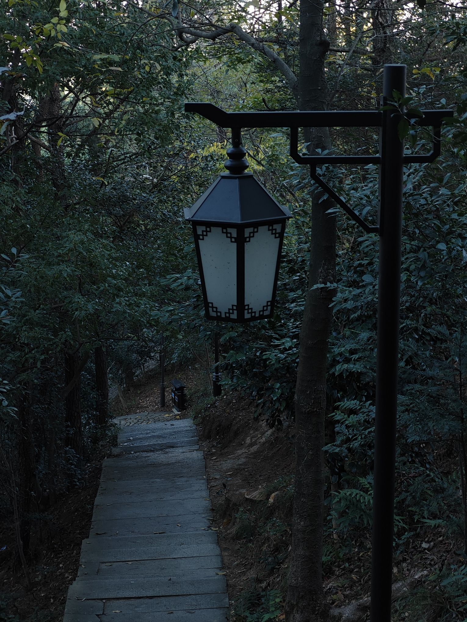 石浜公园旅行图片