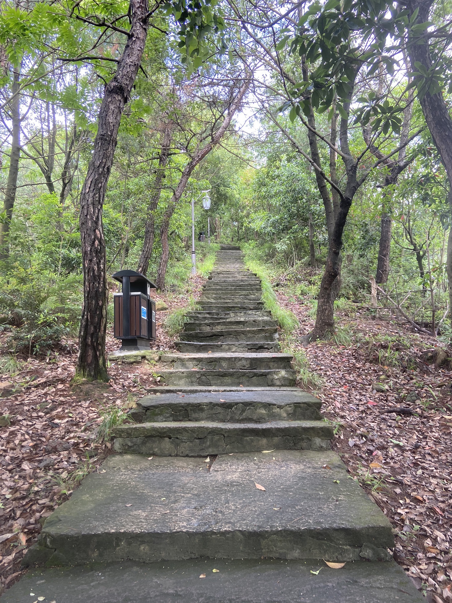 石浜公园旅行图片