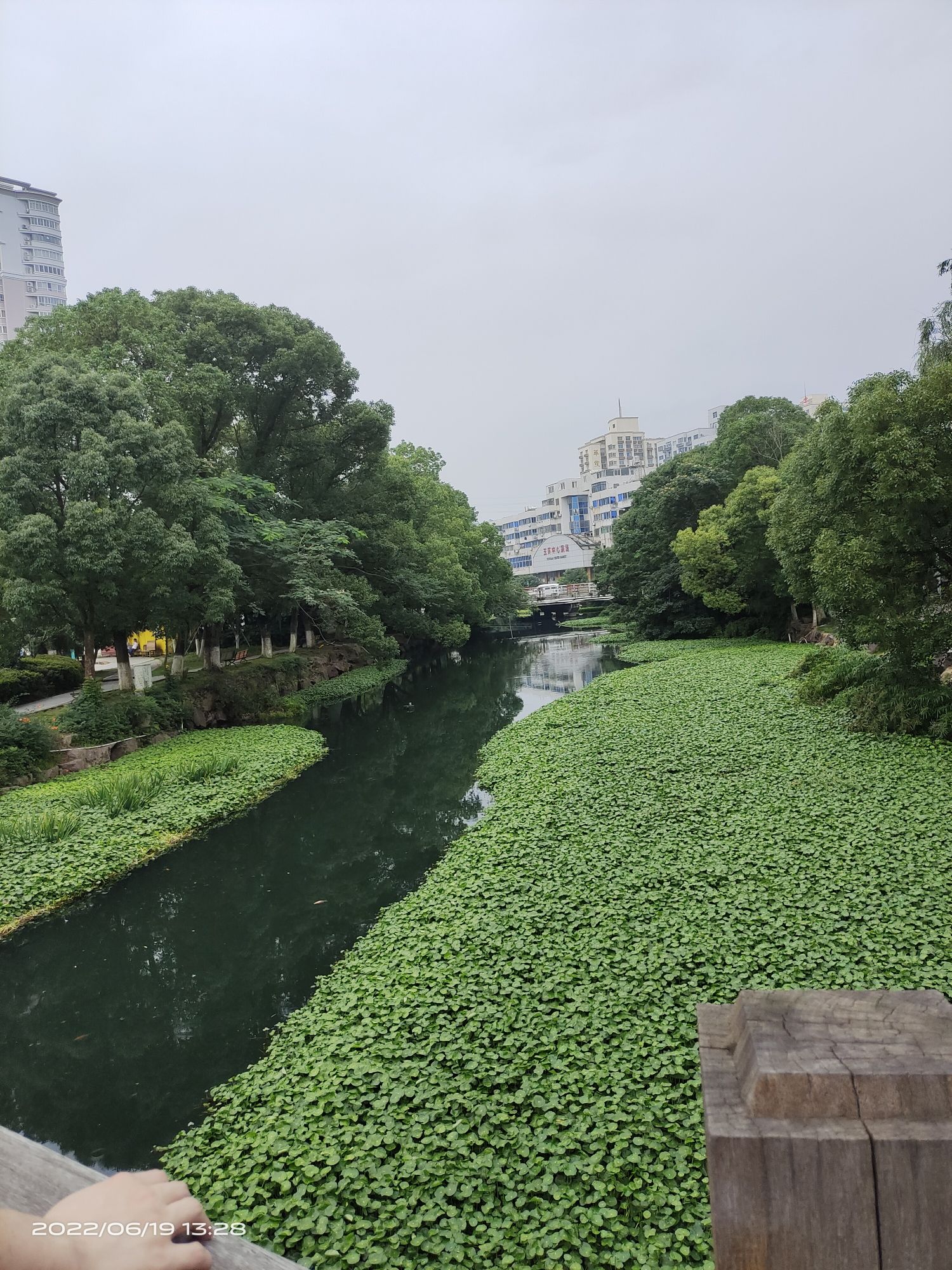 玉环公园旅行图片