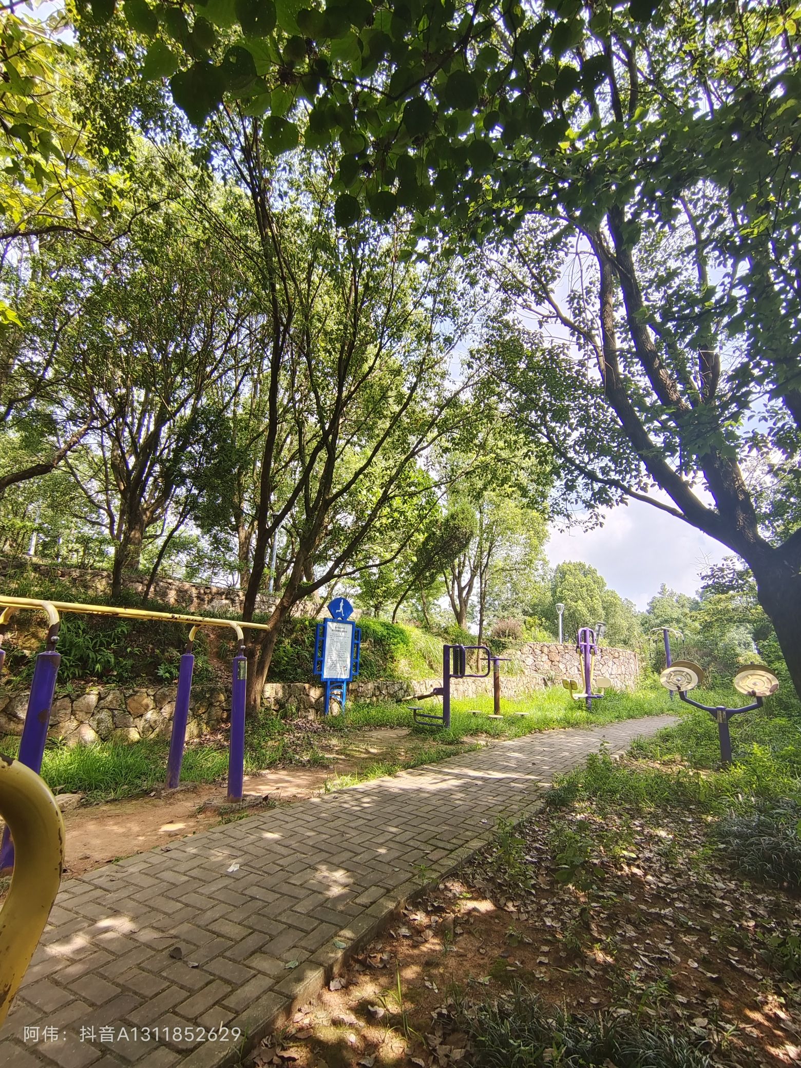 磊石公园
