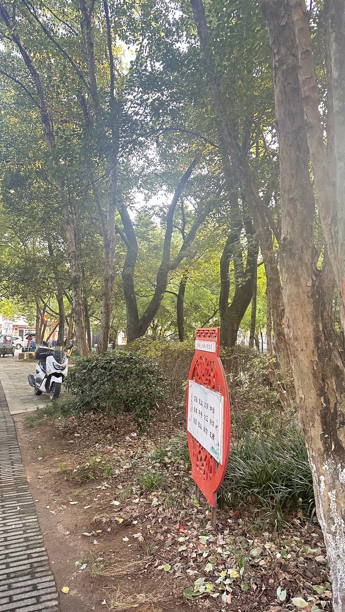 街心公园