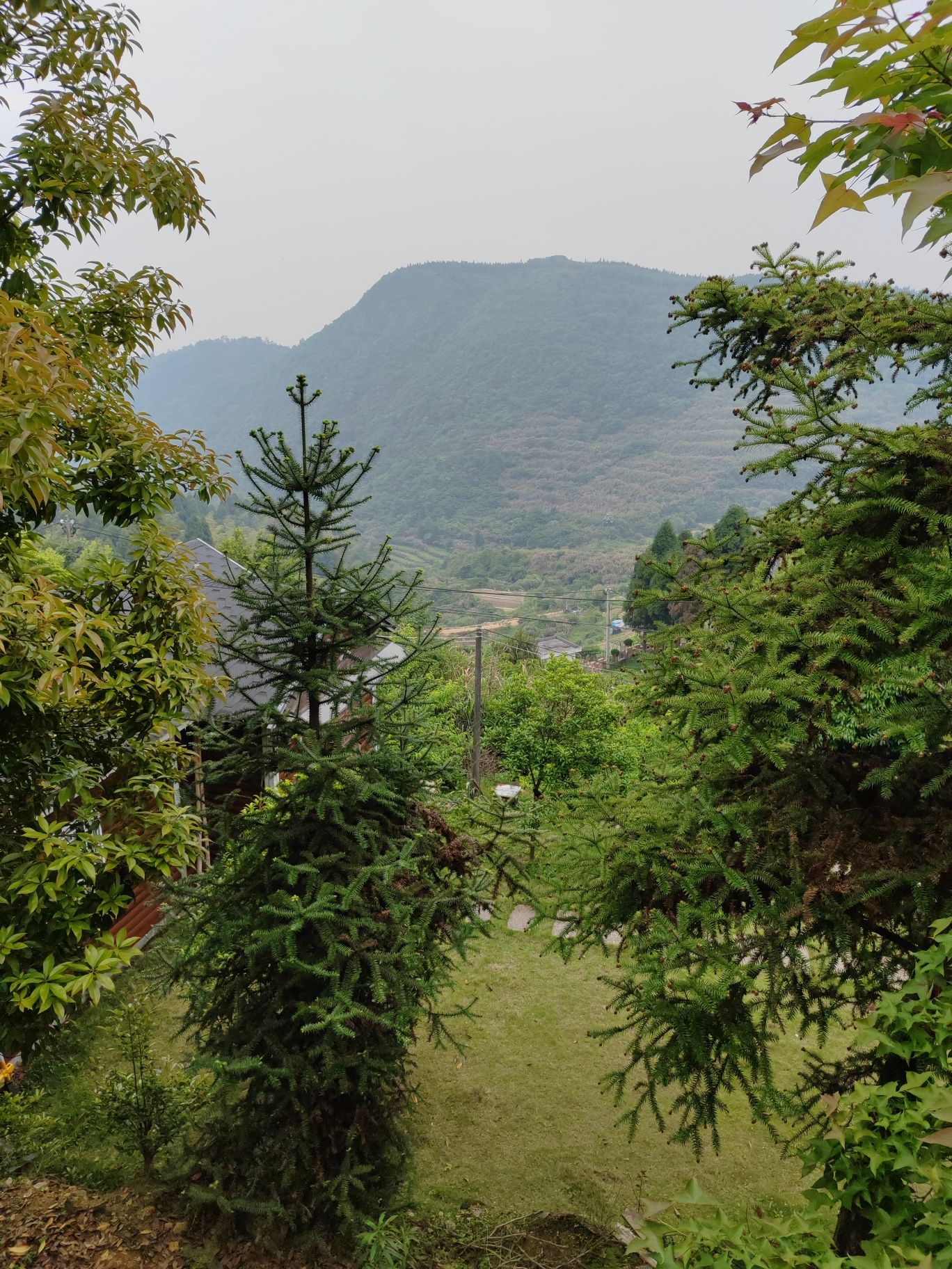 圣井山石殿旅行图片