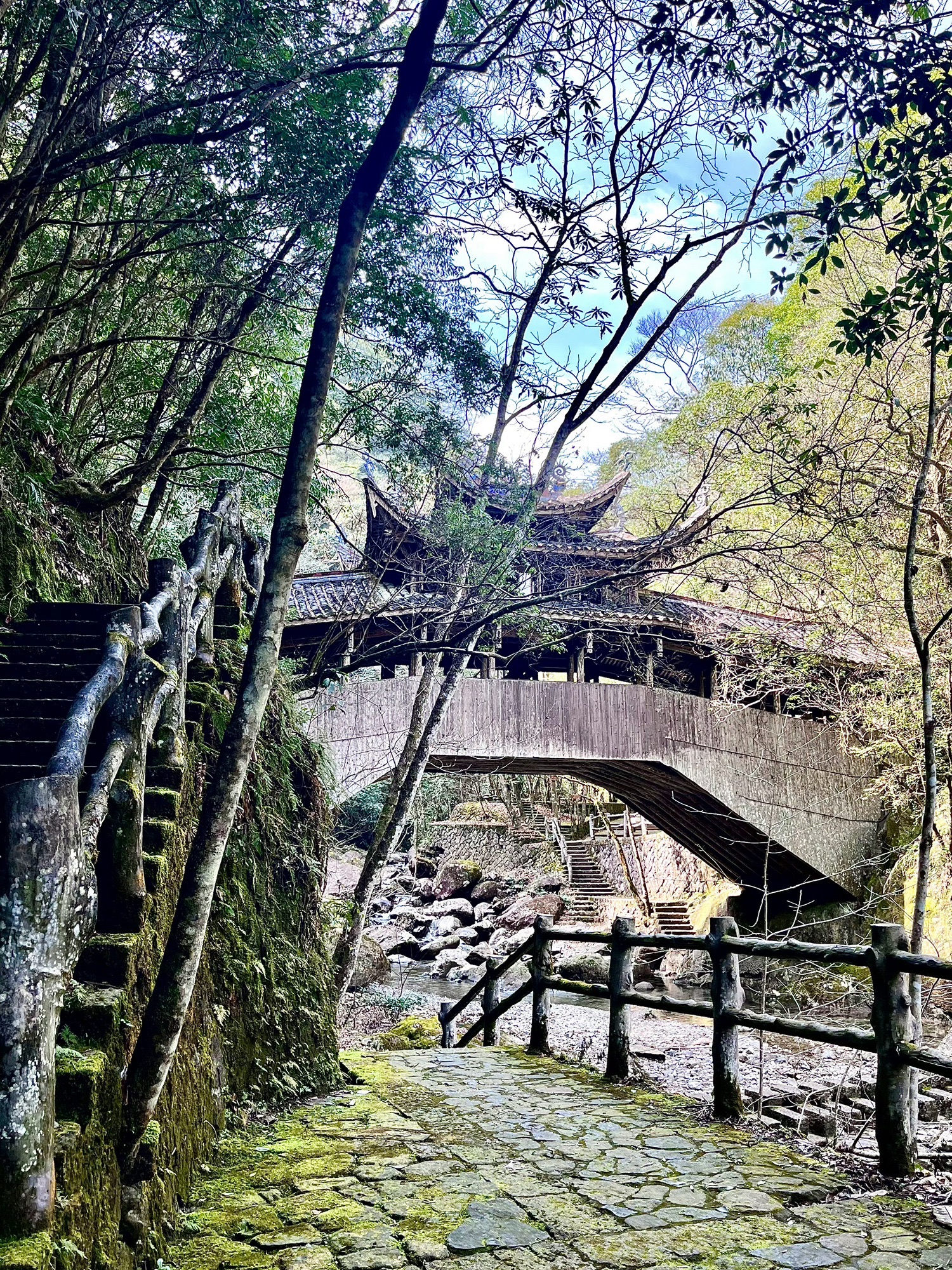 浙江乌岩岭国家级自然保护区旅行图片