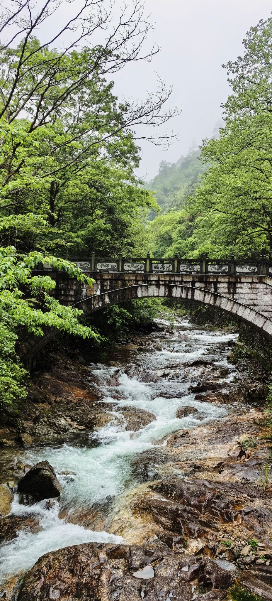 浙江乌岩岭国家级自然保护区旅行图片