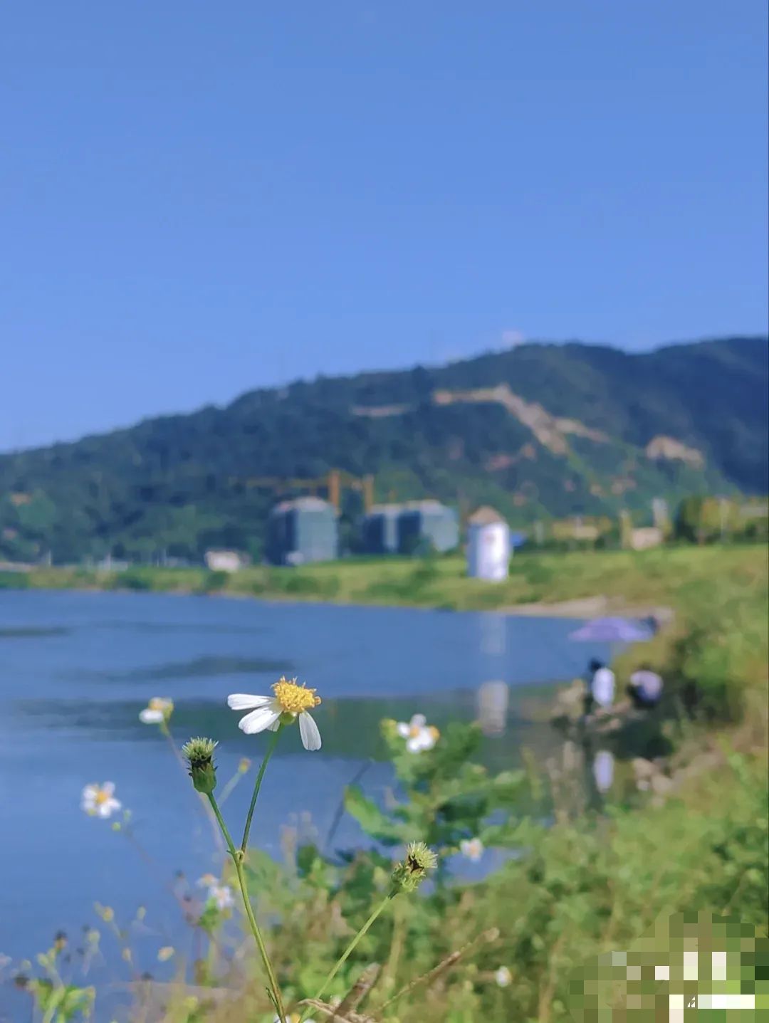 寨寮溪风景区