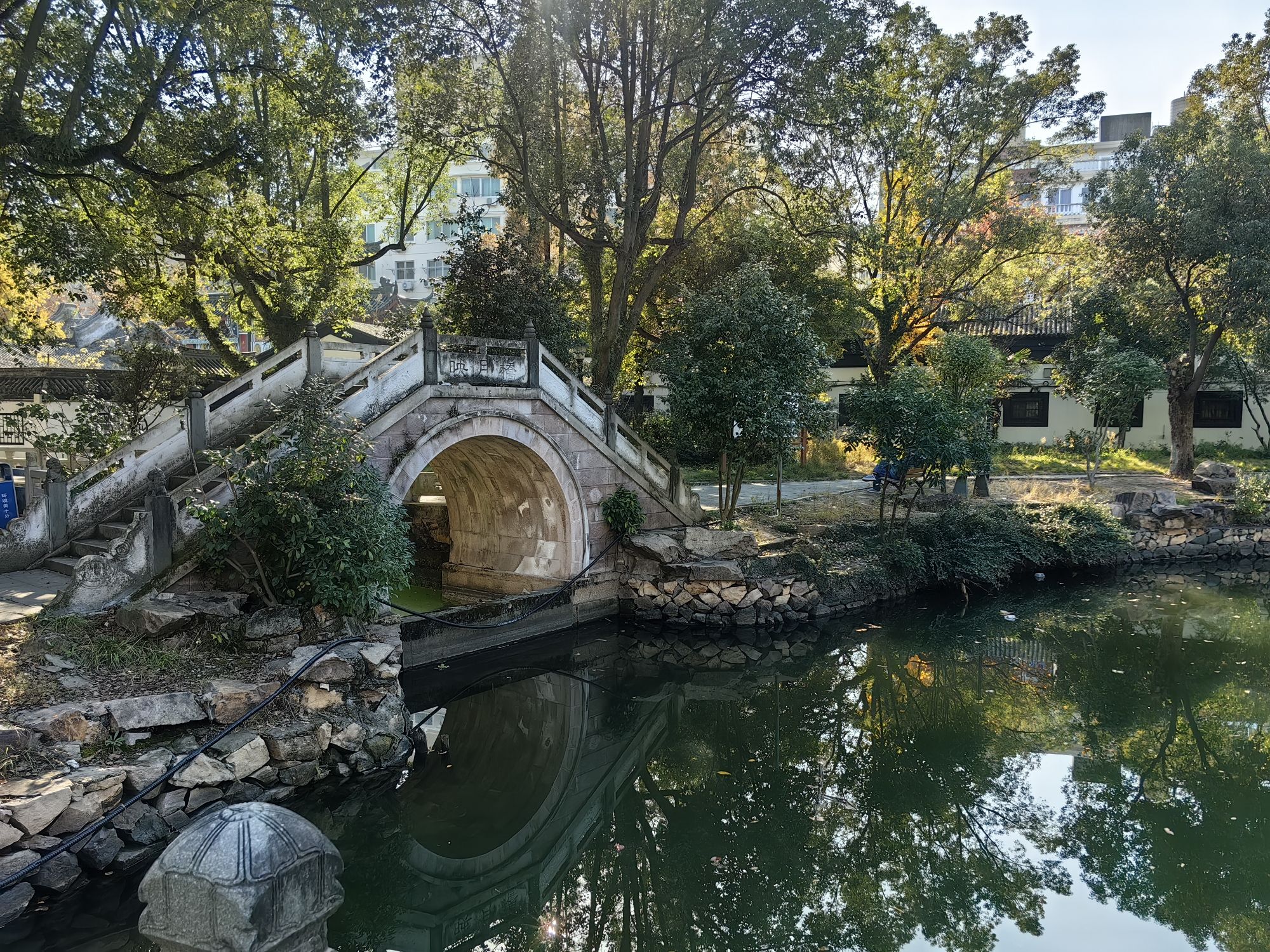 前岸公园旅行图片
