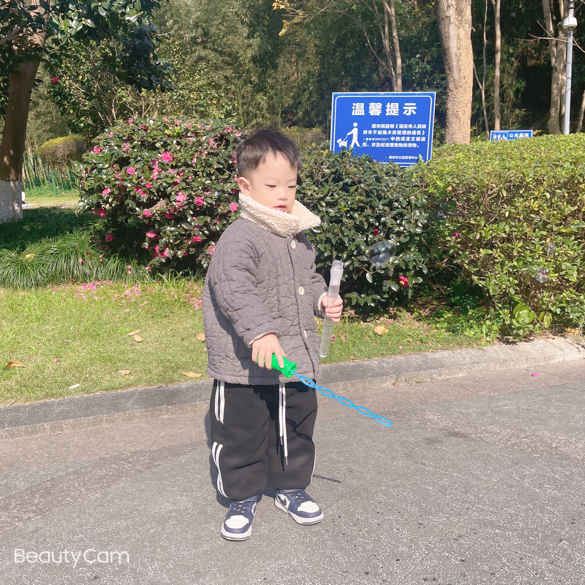 万松山公园旅行图片